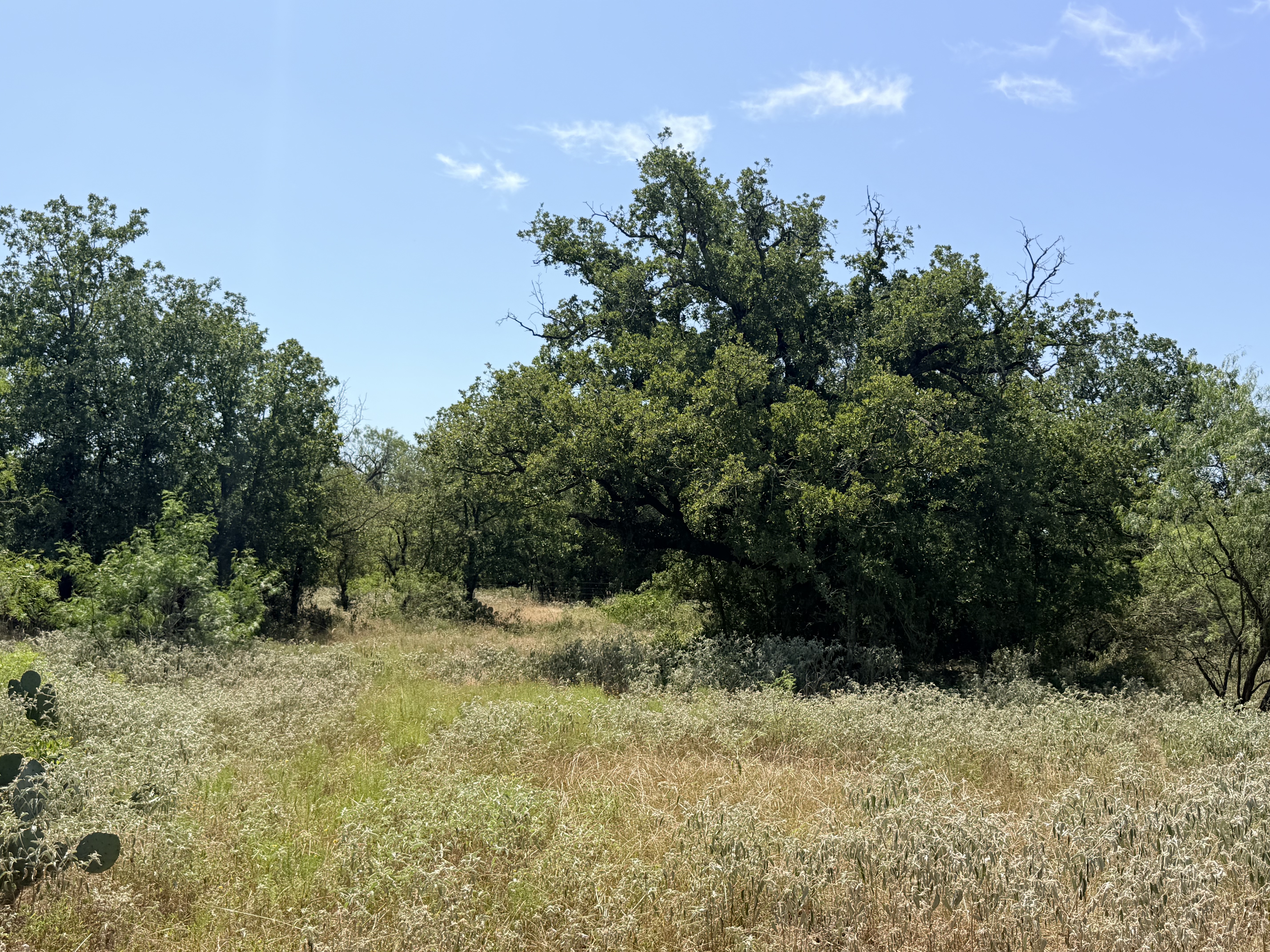 Pumper Rd, Luling, Texas 78648, ,Land,For Sale,Pumper Rd,859943