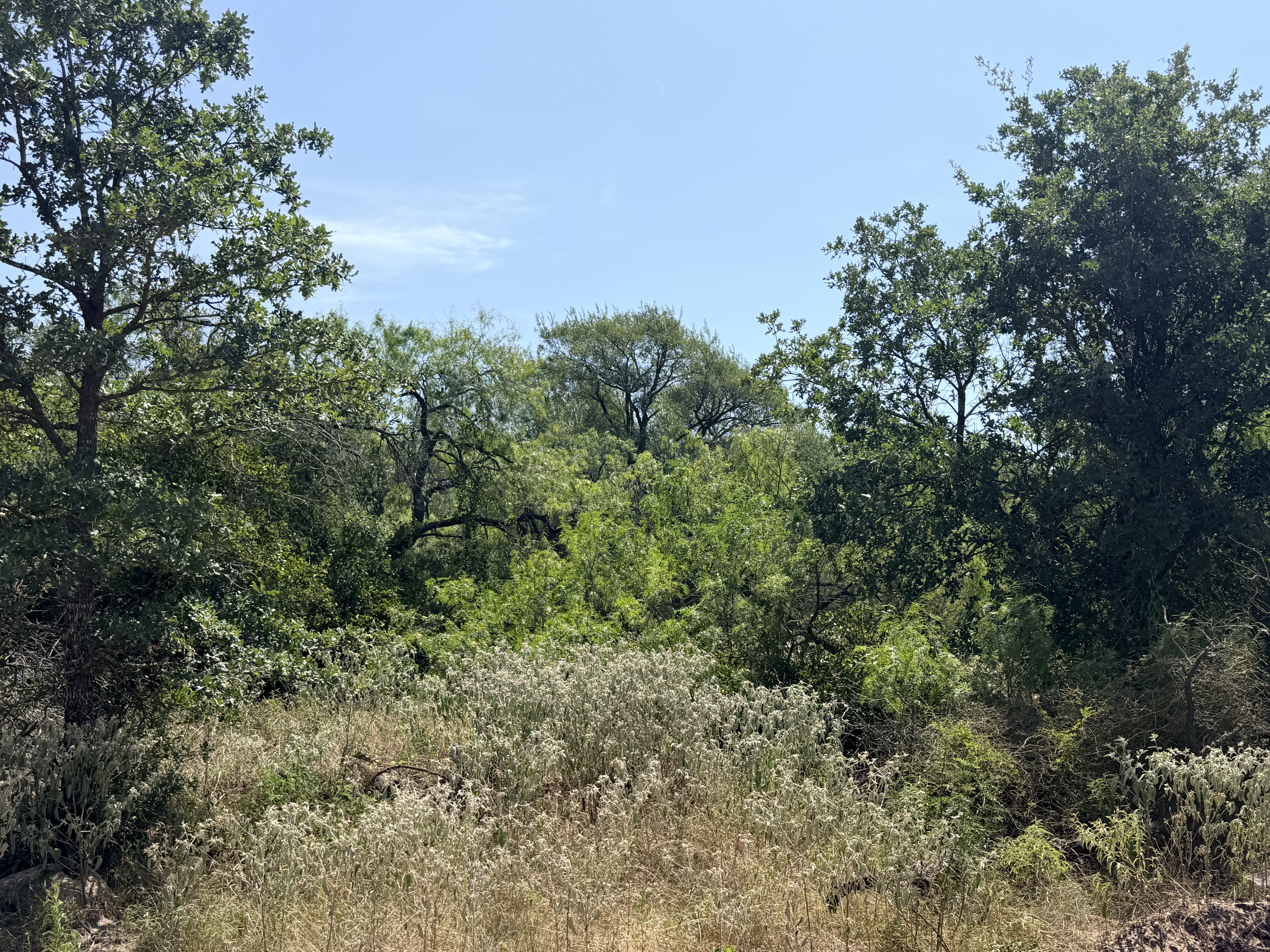Pumper Rd, Luling, Texas 78648, ,Land,For Sale,Pumper Rd,859943