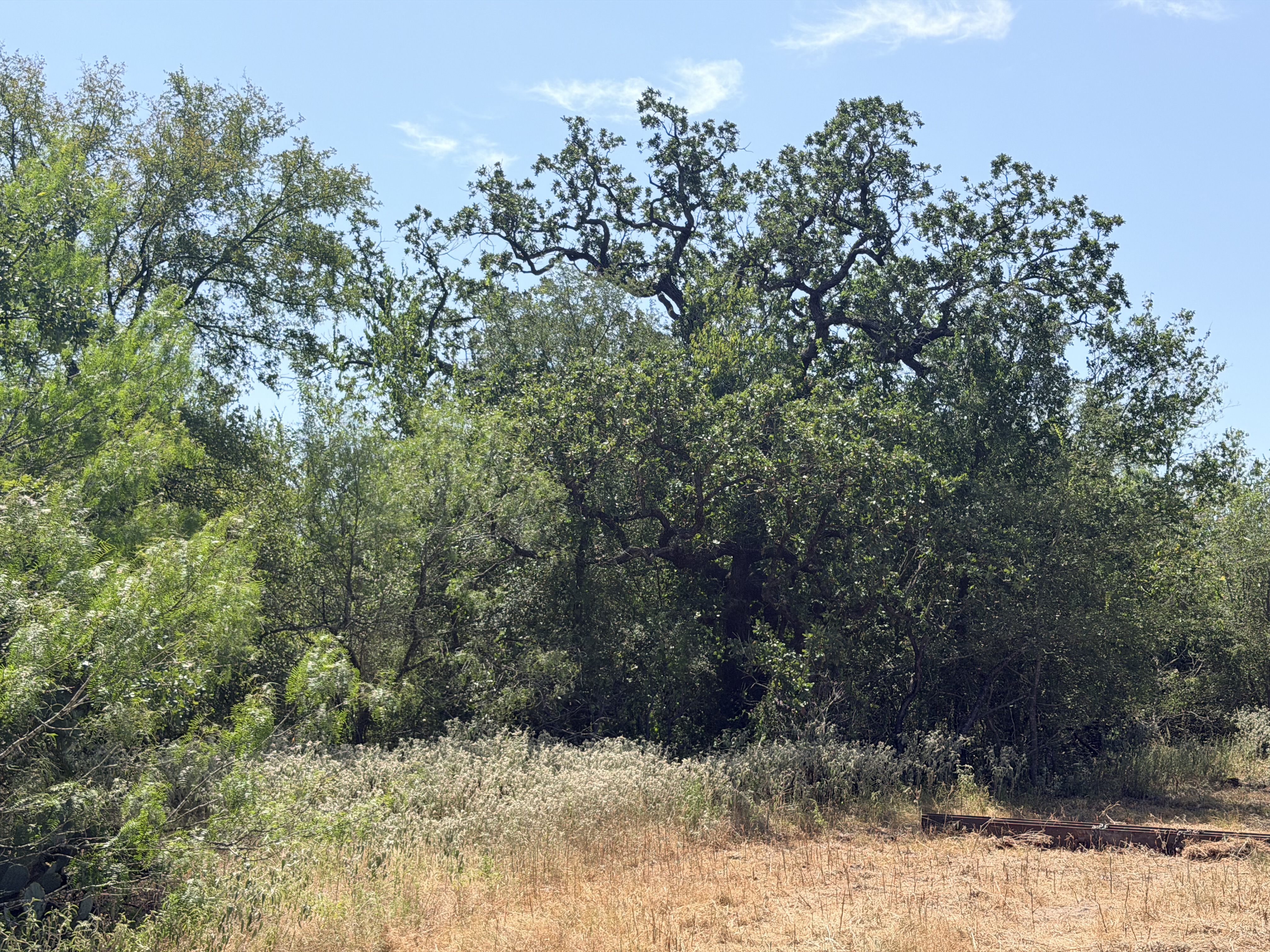 Luling, Texas 78648, ,Land,For Sale,859945