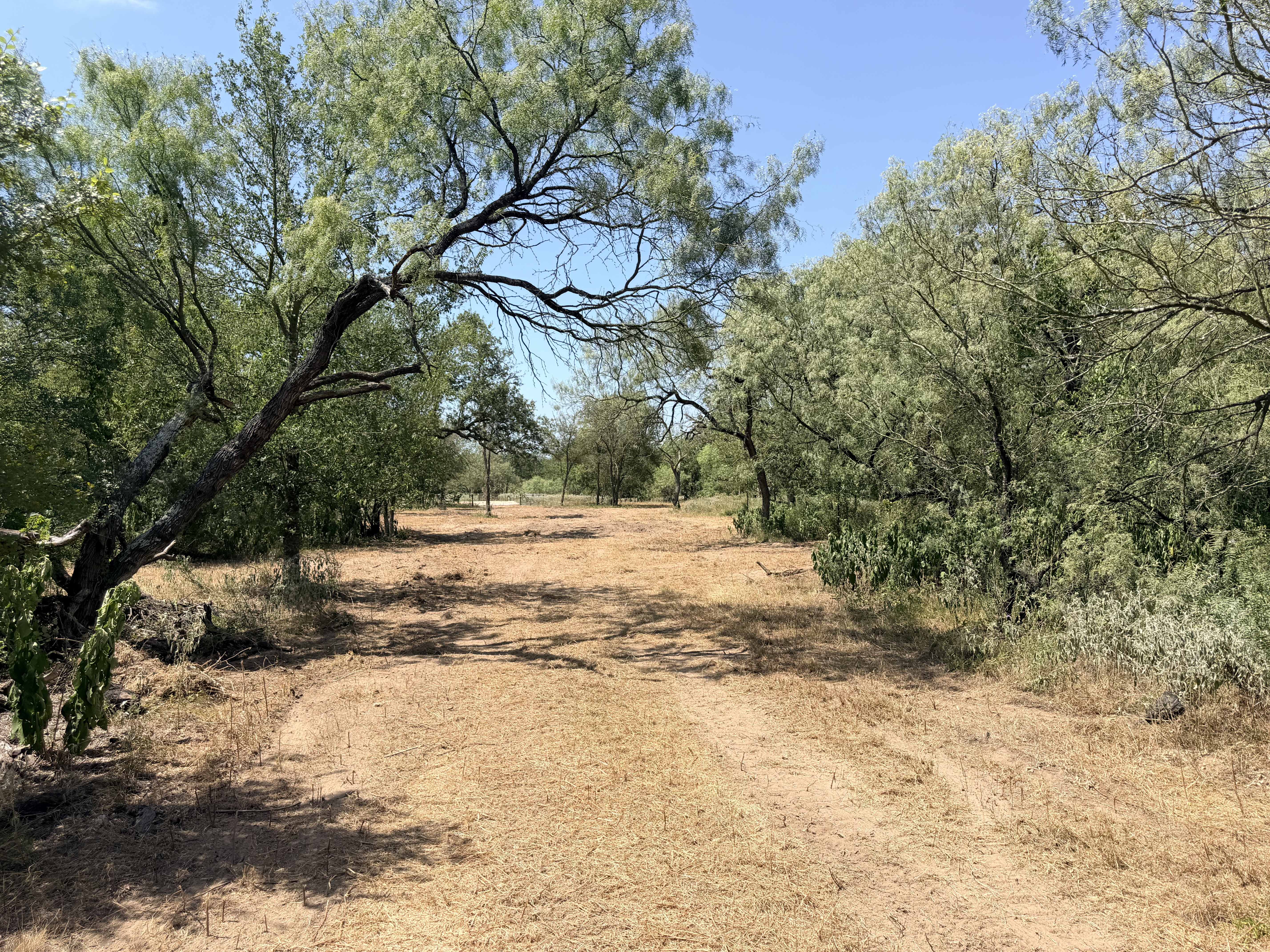 Luling, Texas 78648, ,Land,For Sale,859945