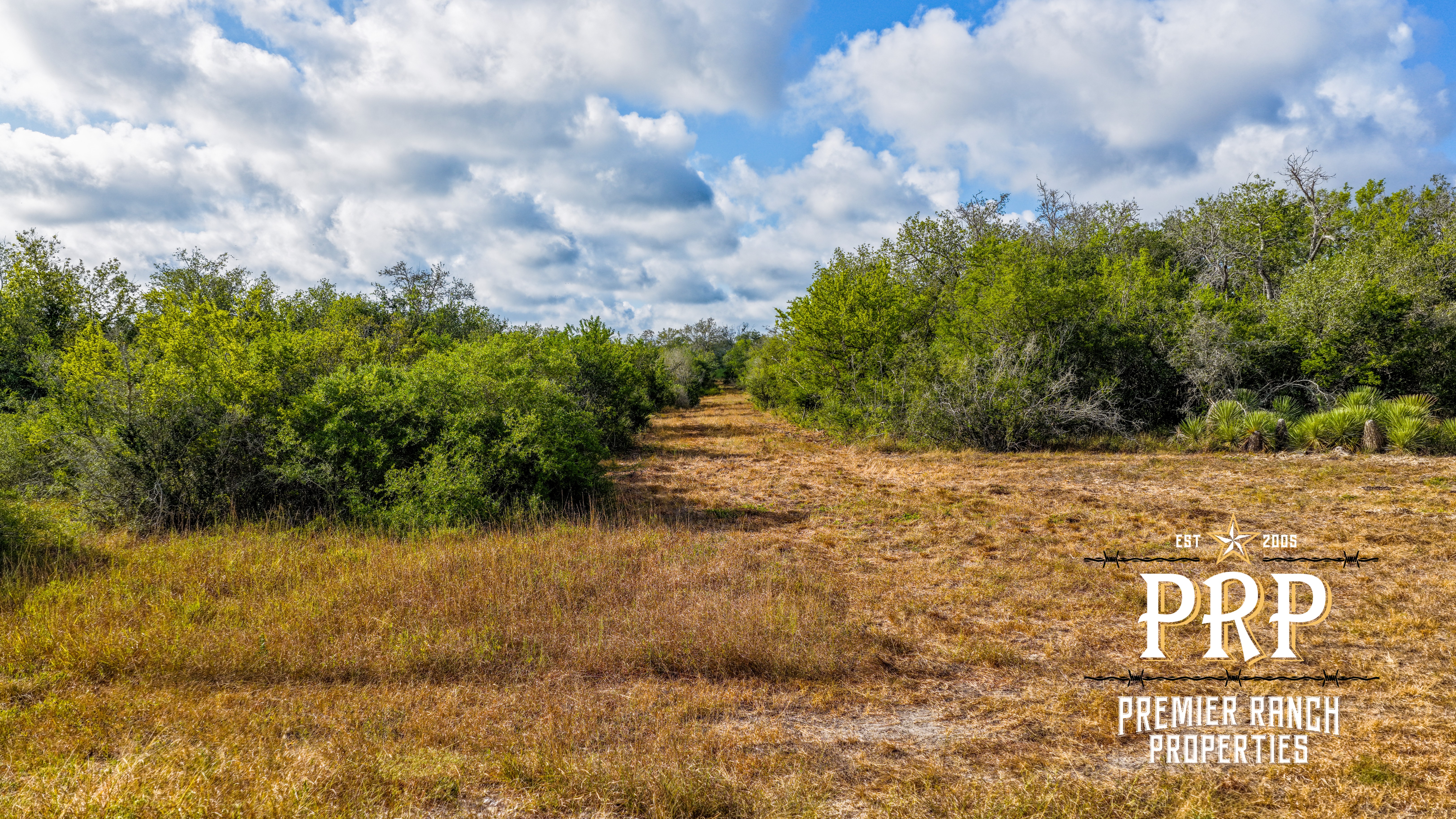 1776 FM 1351, Goliad, Texas 77963, ,Land,For Sale,859956