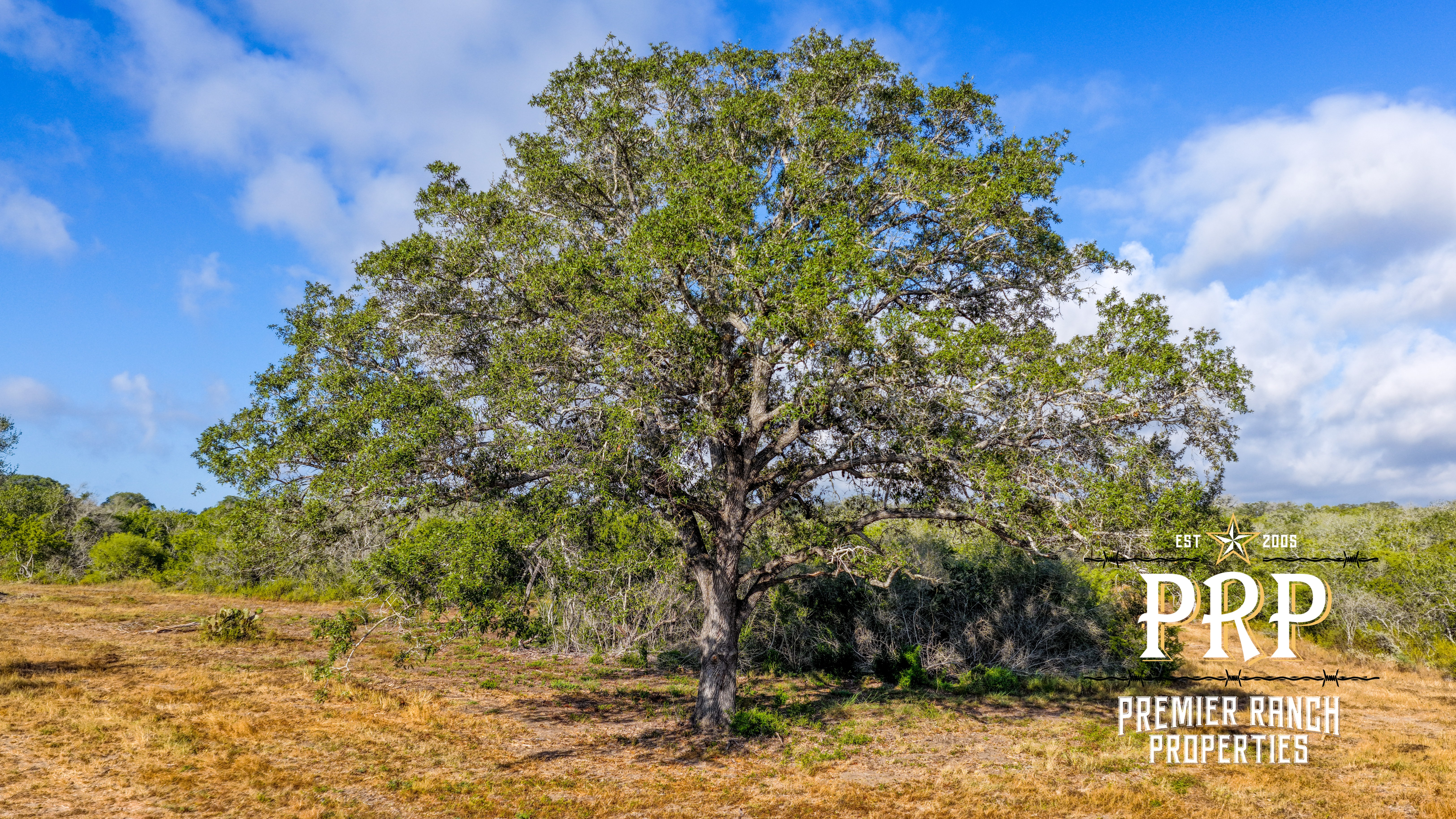 1776 FM 1351, Goliad, Texas 77963, ,Land,For Sale,859956