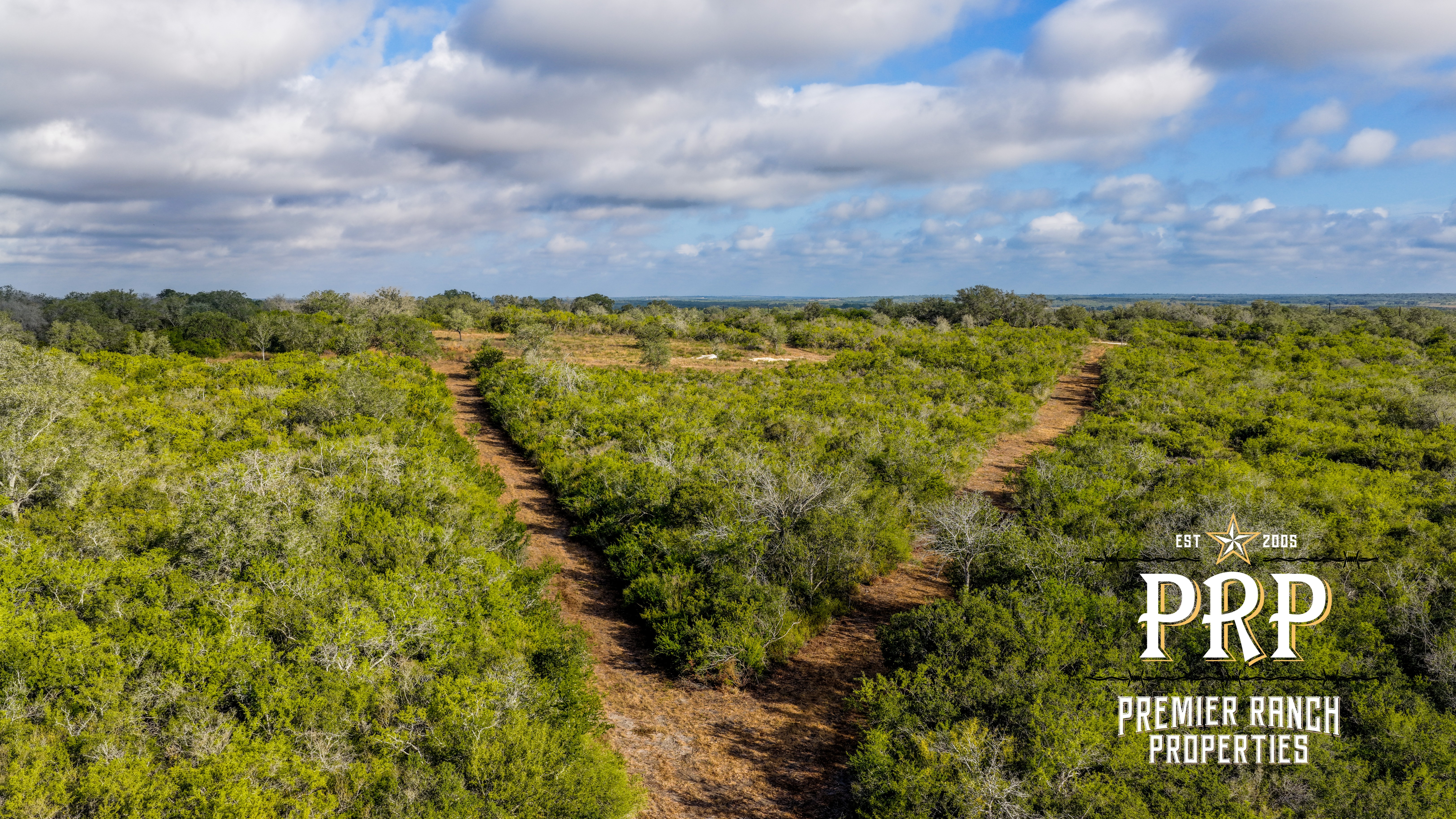 1776 FM 1351, Goliad, Texas 77963, ,Land,For Sale,859956