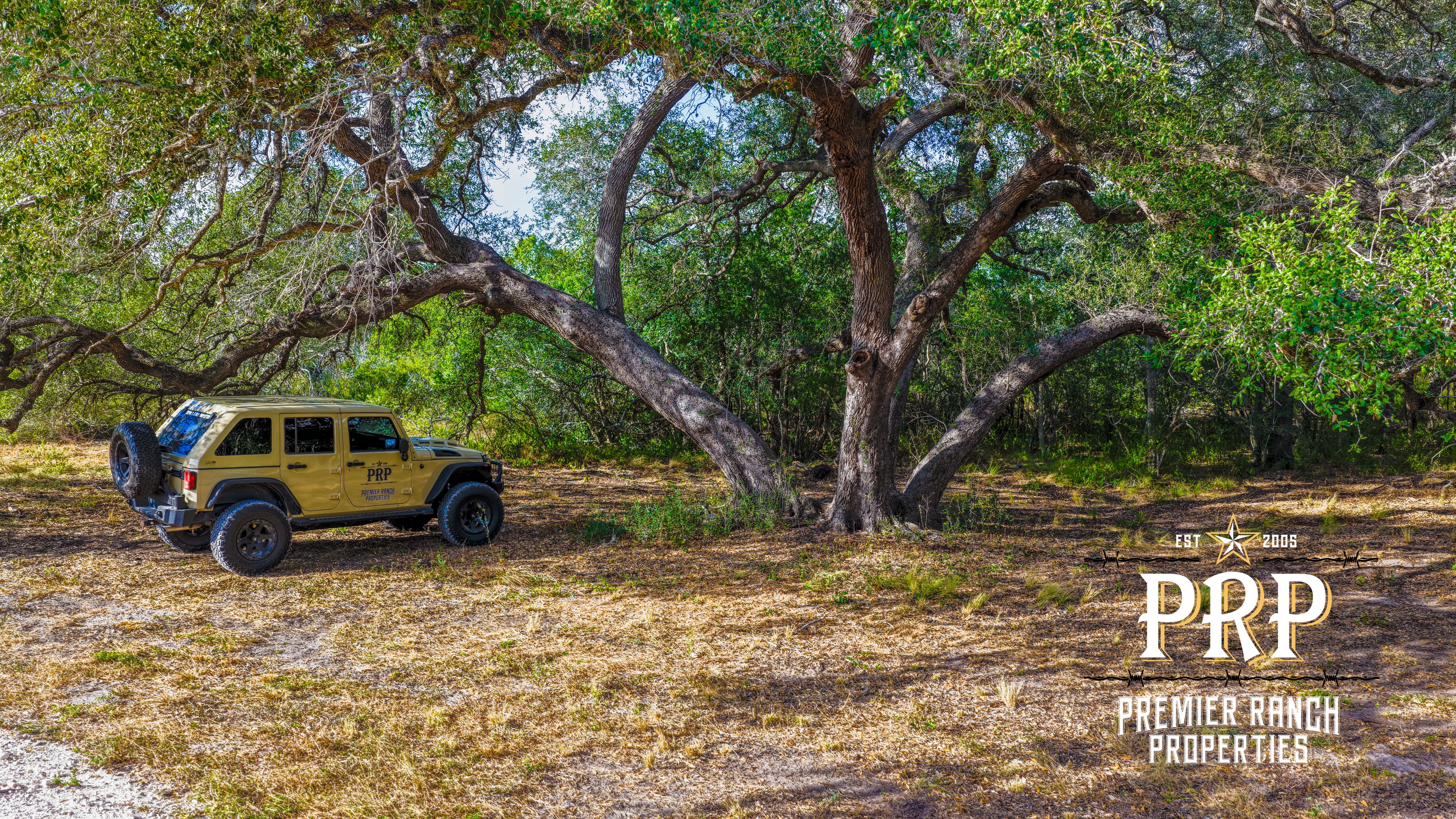 1776 FM 1351, Goliad, Texas 77963, ,Land,For Sale,859956