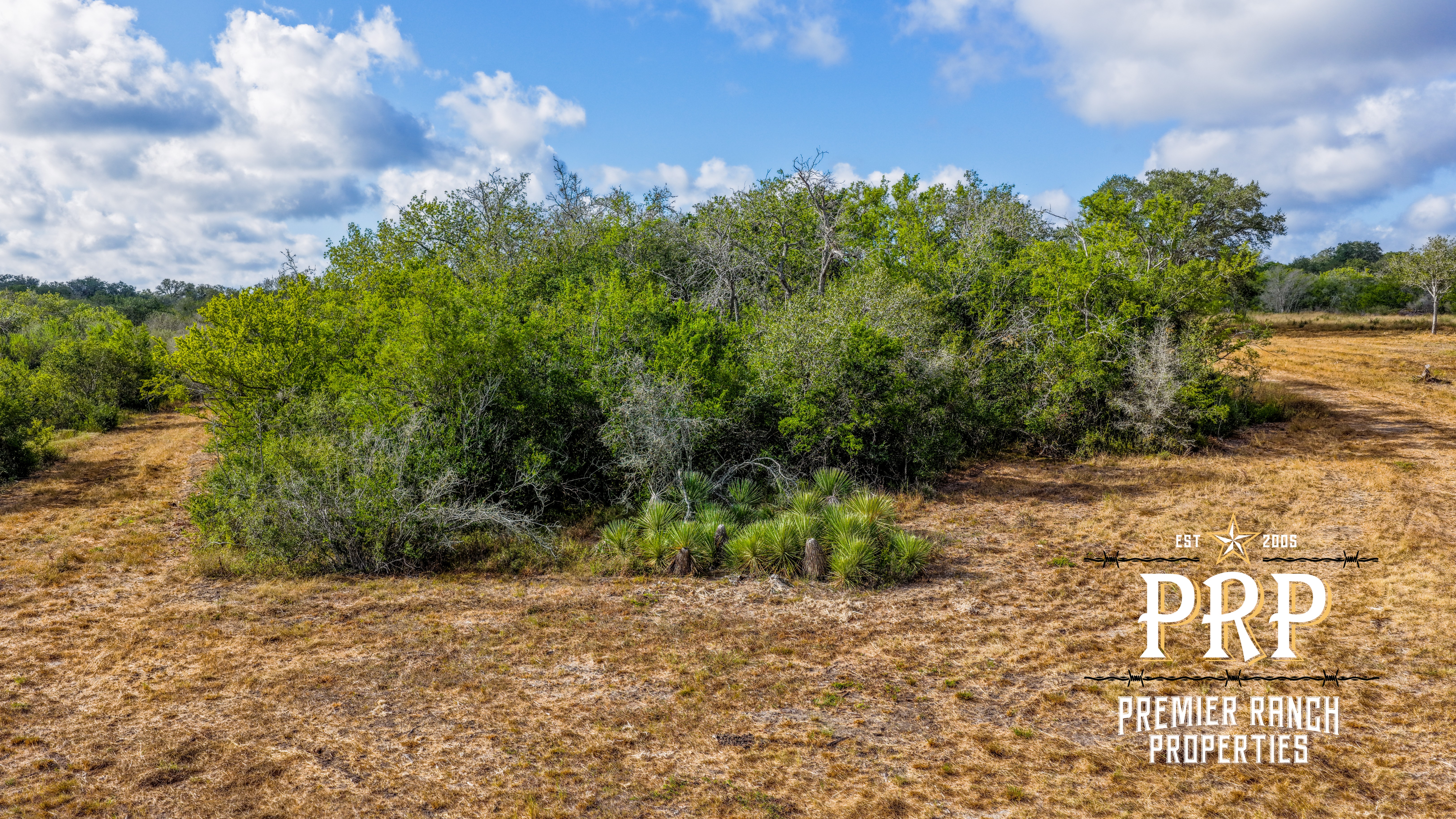 1776 FM 1351, Goliad, Texas 77963, ,Land,For Sale,859956