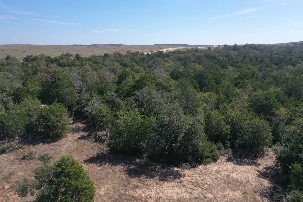 Dale, Texas, ,Land,For Sale,1036
