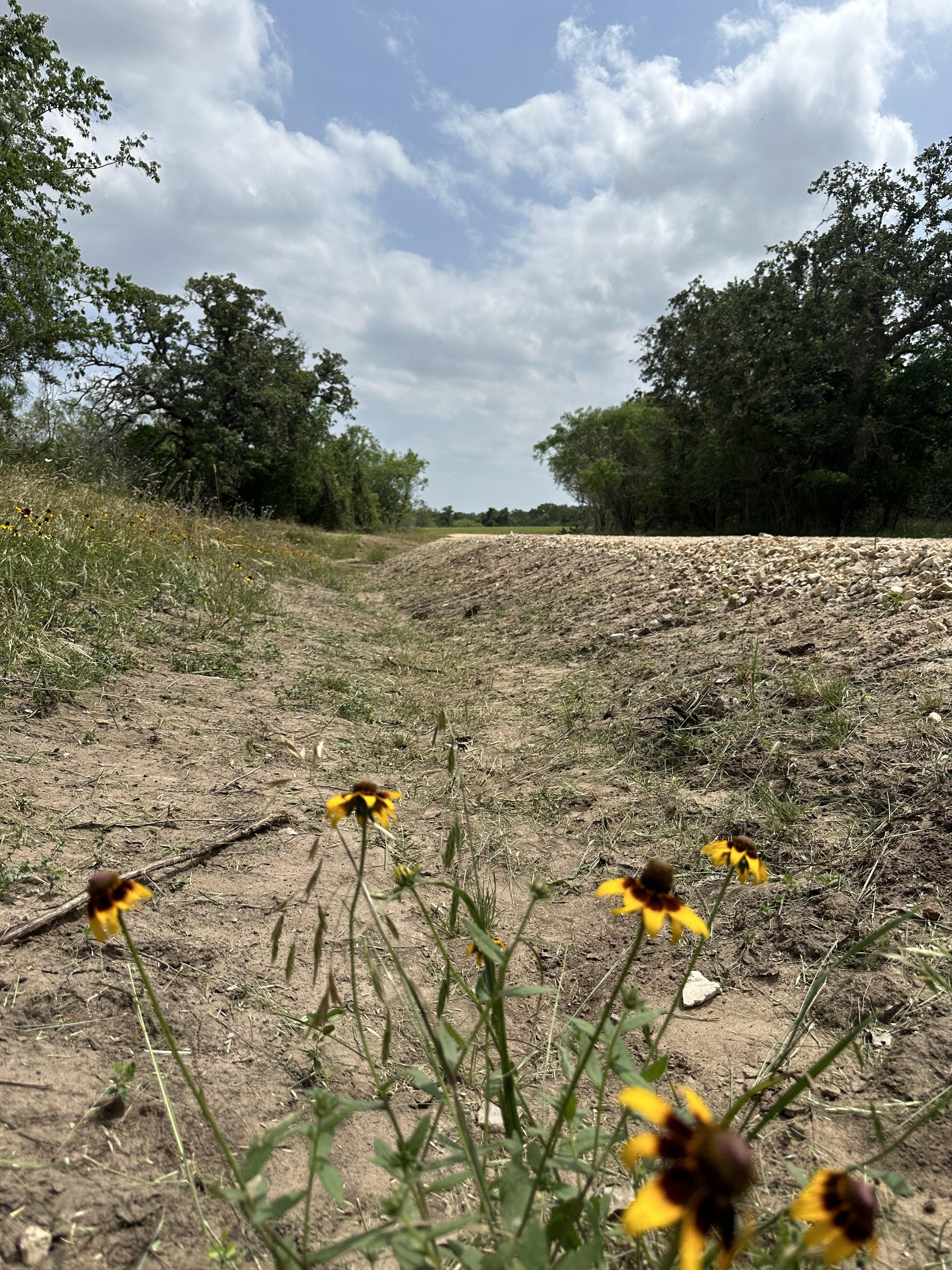 Luling, Texas, ,Land,For Sale,1043