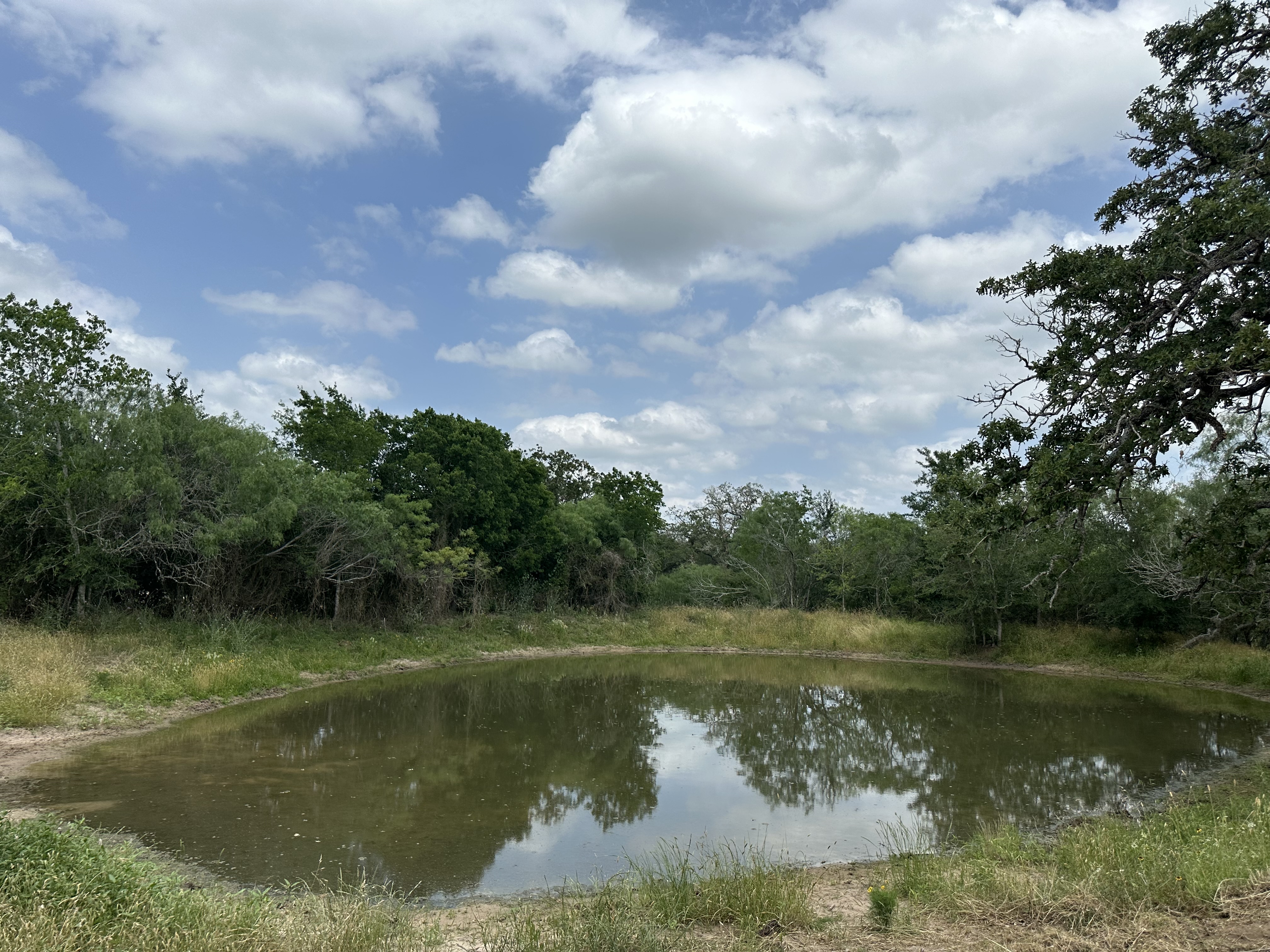 Luling, Texas, ,Land,For Sale,1043