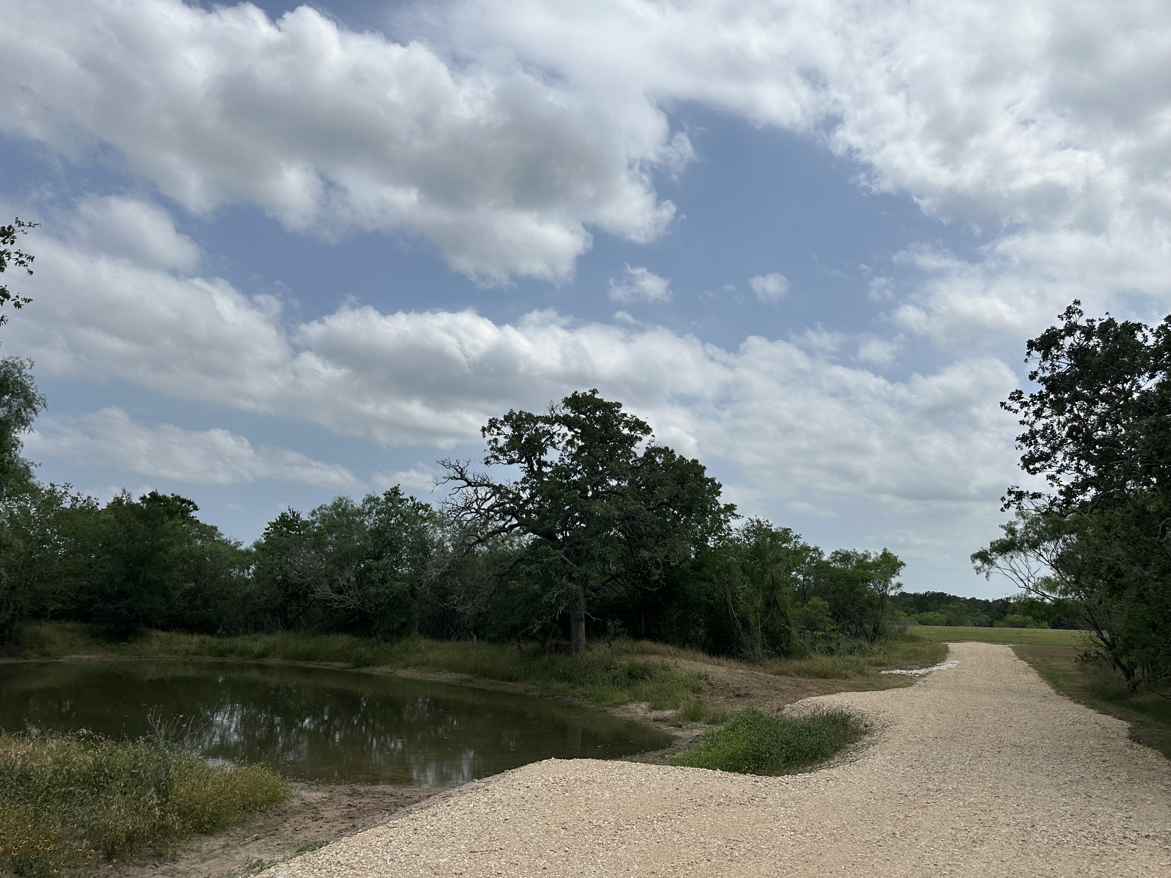 Luling, Texas, ,Land,For Sale,1043