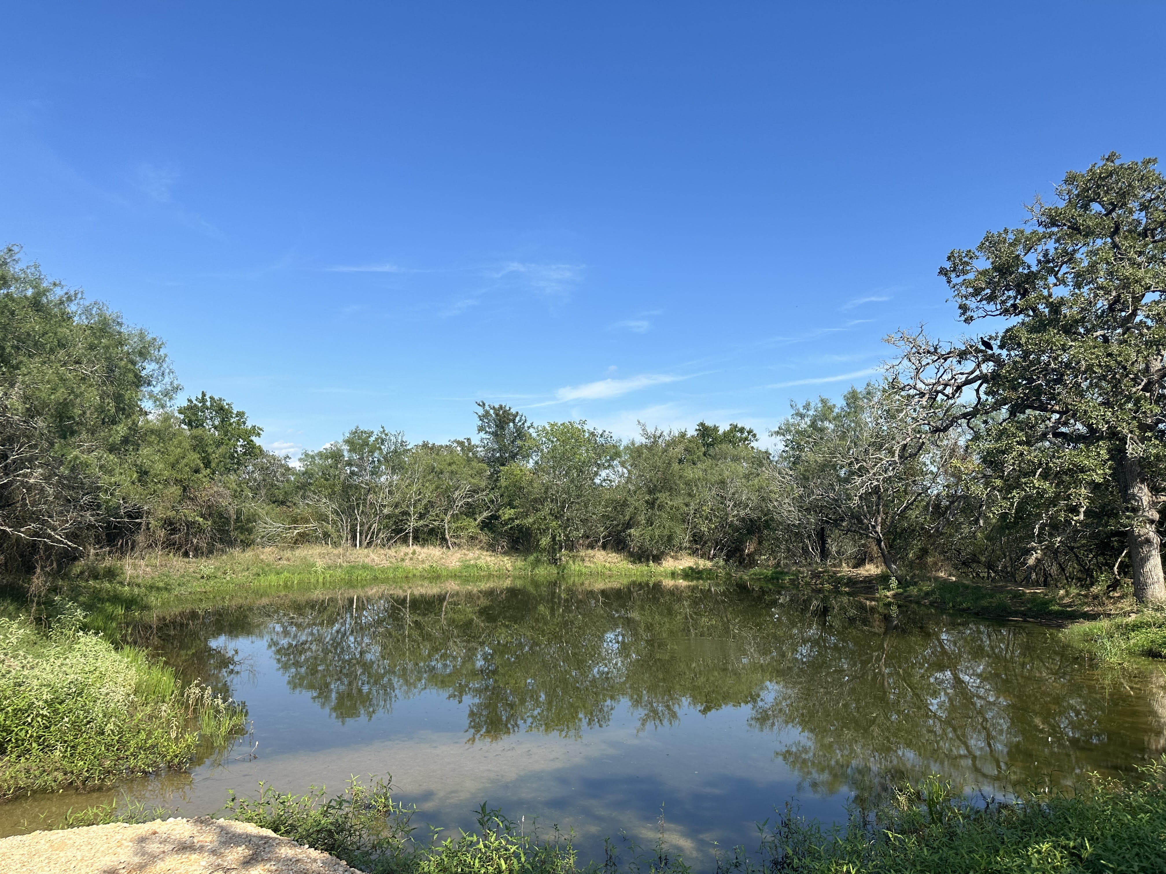 Luling, Texas, ,Land,For Sale,1043