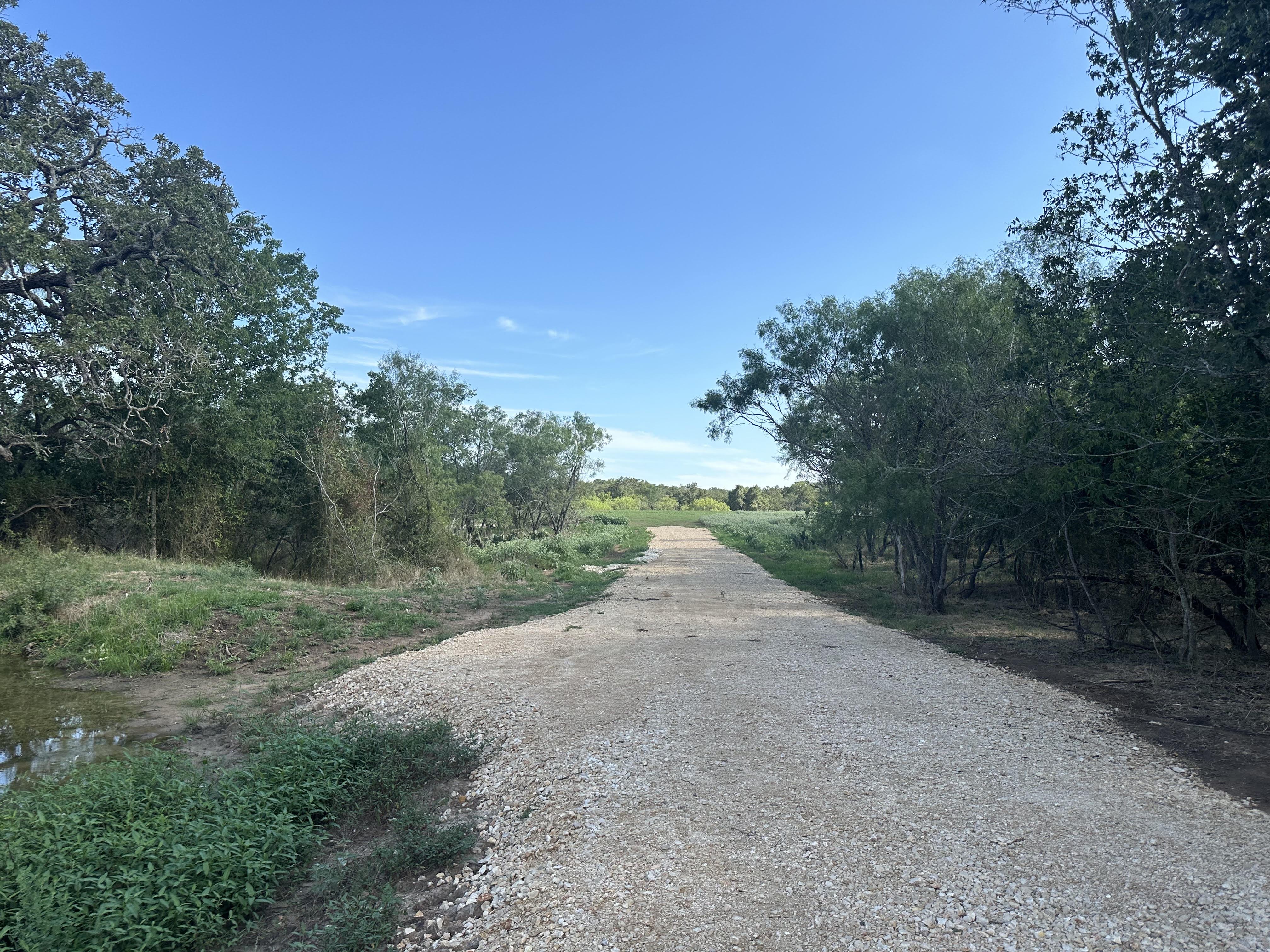 Luling, Texas, ,Land,For Sale,1043