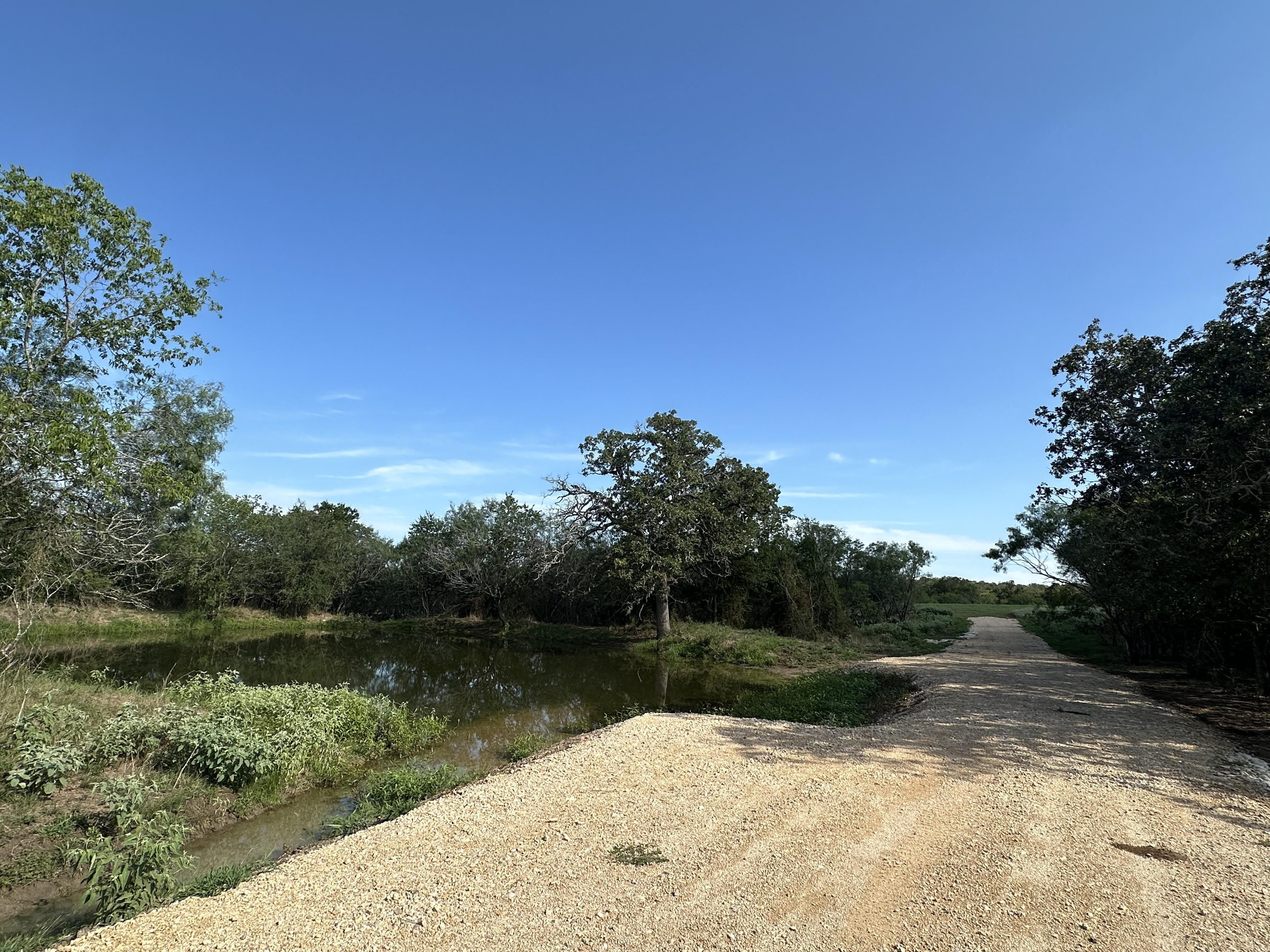 Luling, Texas, ,Land,For Sale,1043