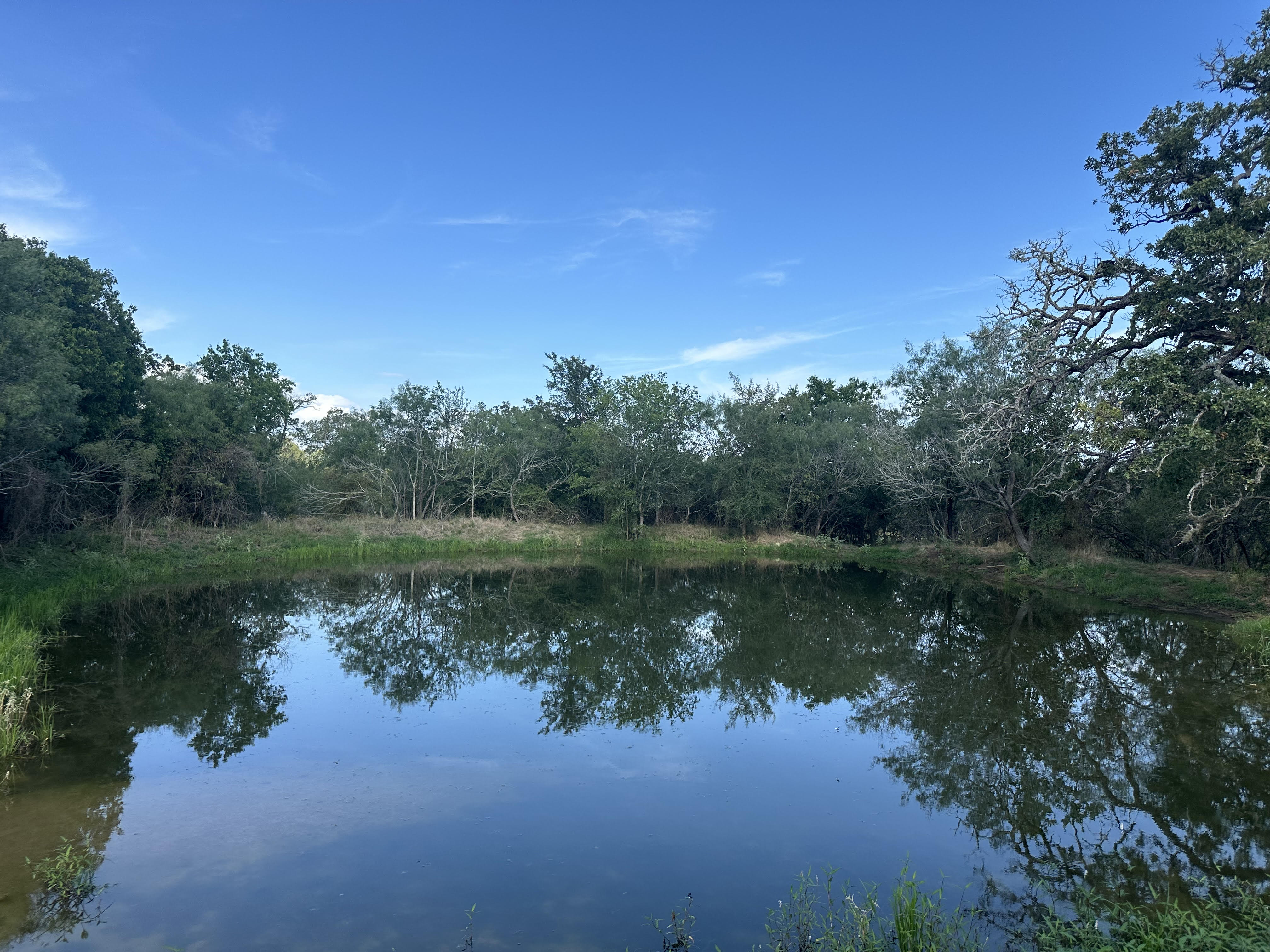 Luling, Texas, ,Land,For Sale,1043