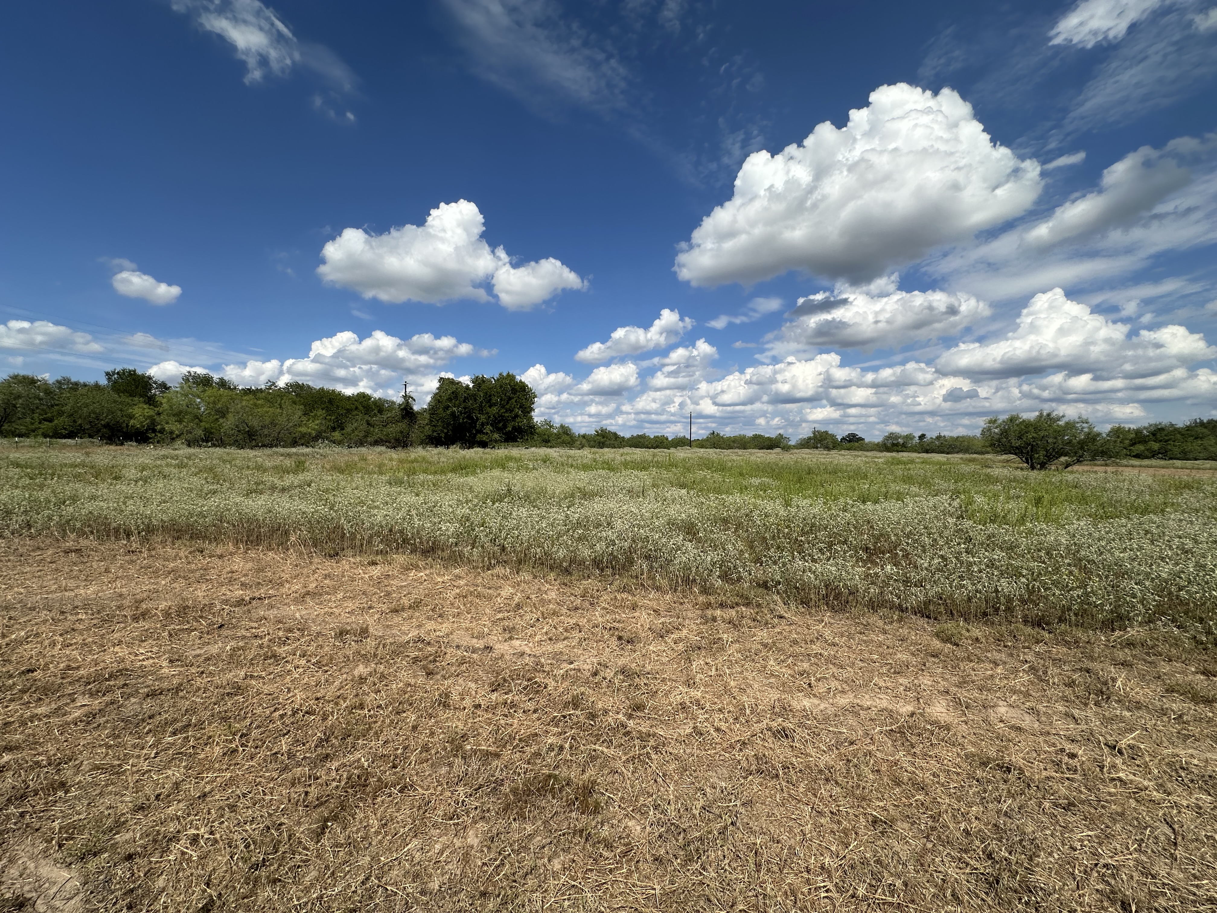 Luling, Texas, ,Land,For Sale,1043
