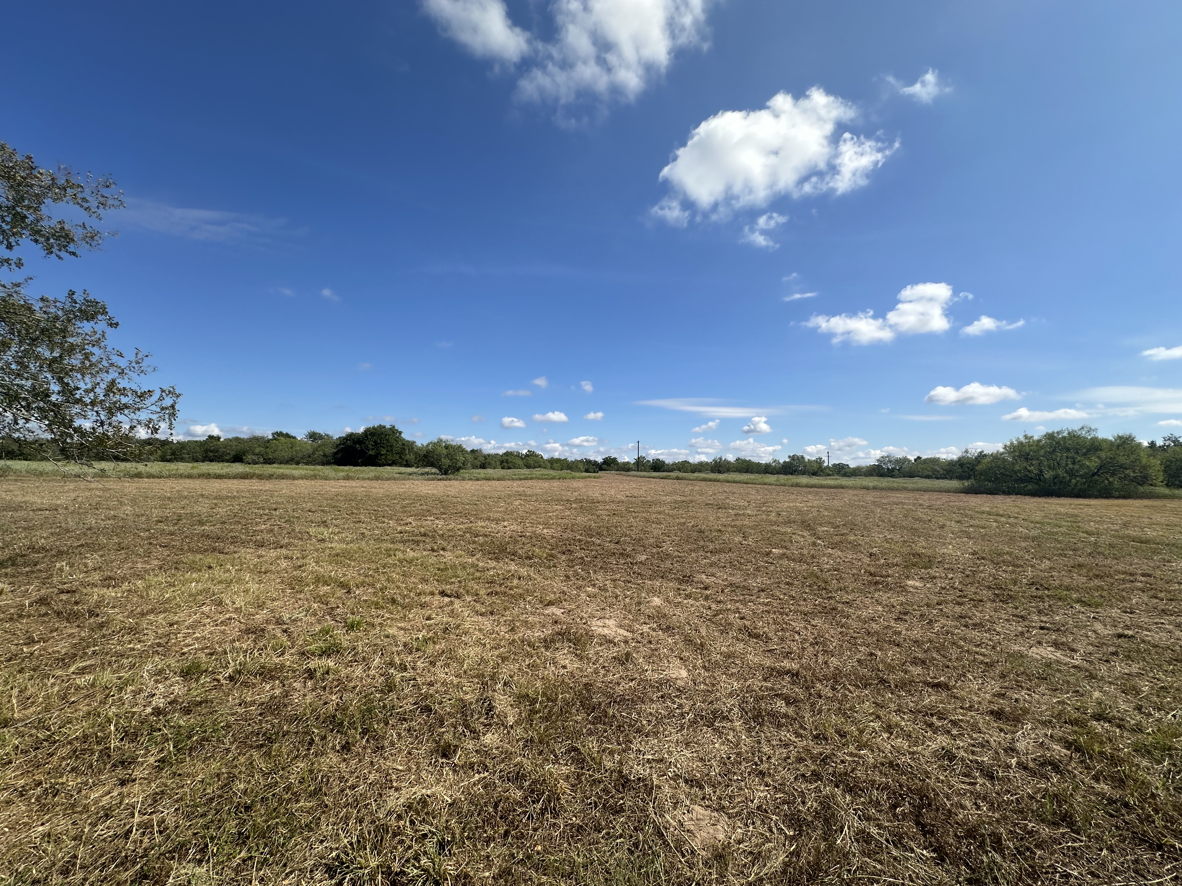 Luling, Texas, ,Land,For Sale,1043