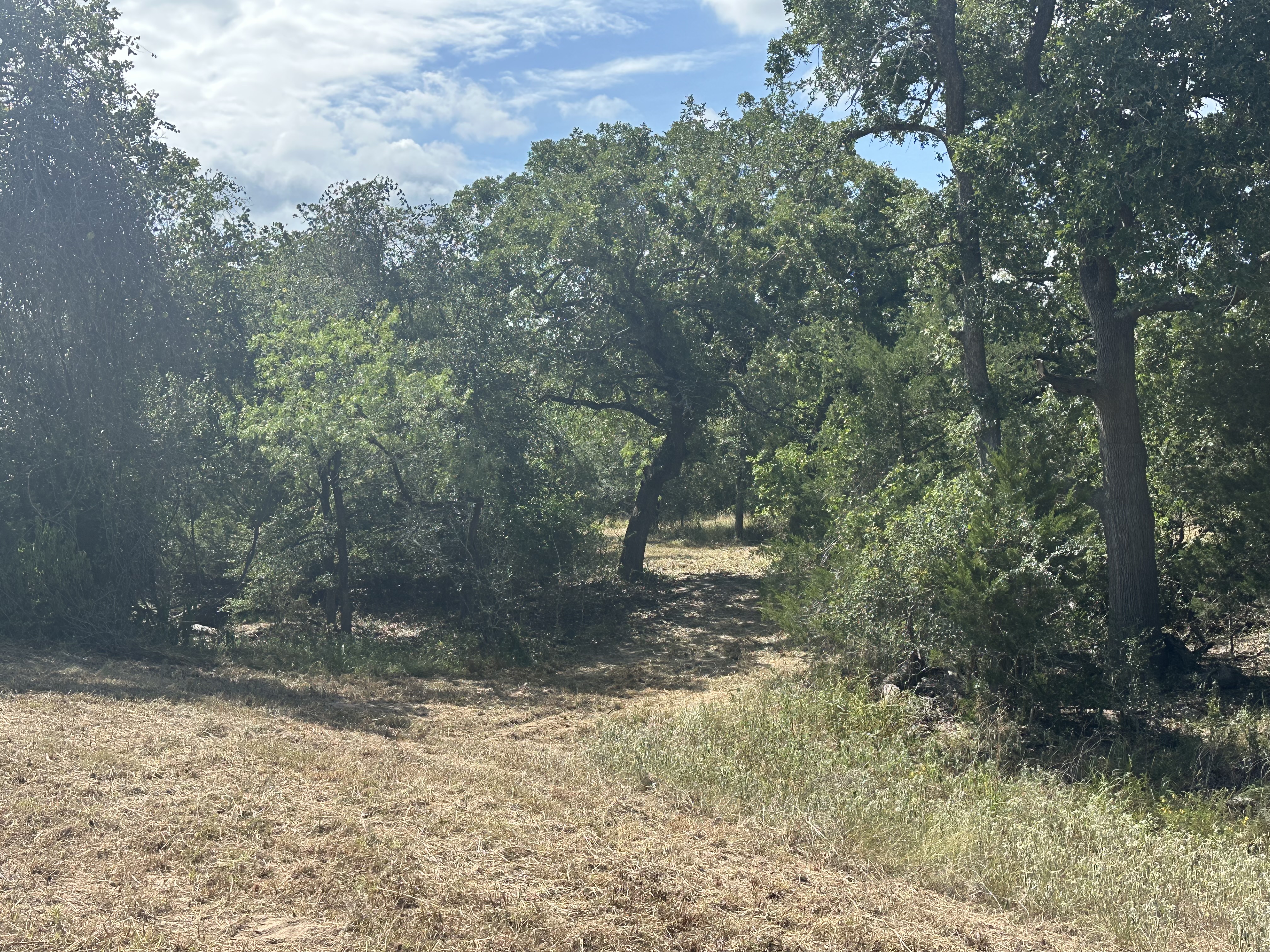Luling, Texas, ,Land,For Sale,1043