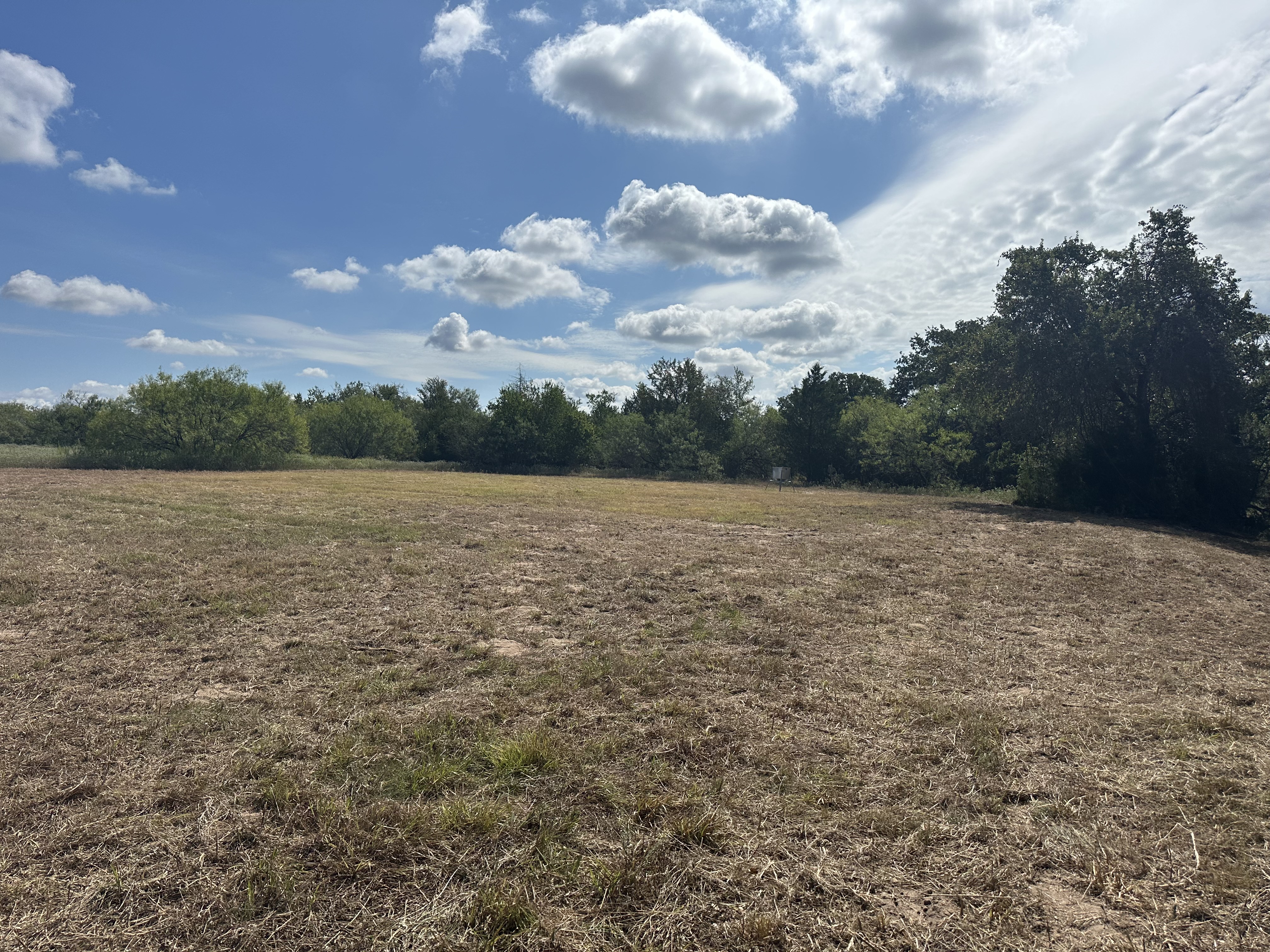 Luling, Texas, ,Land,For Sale,1043
