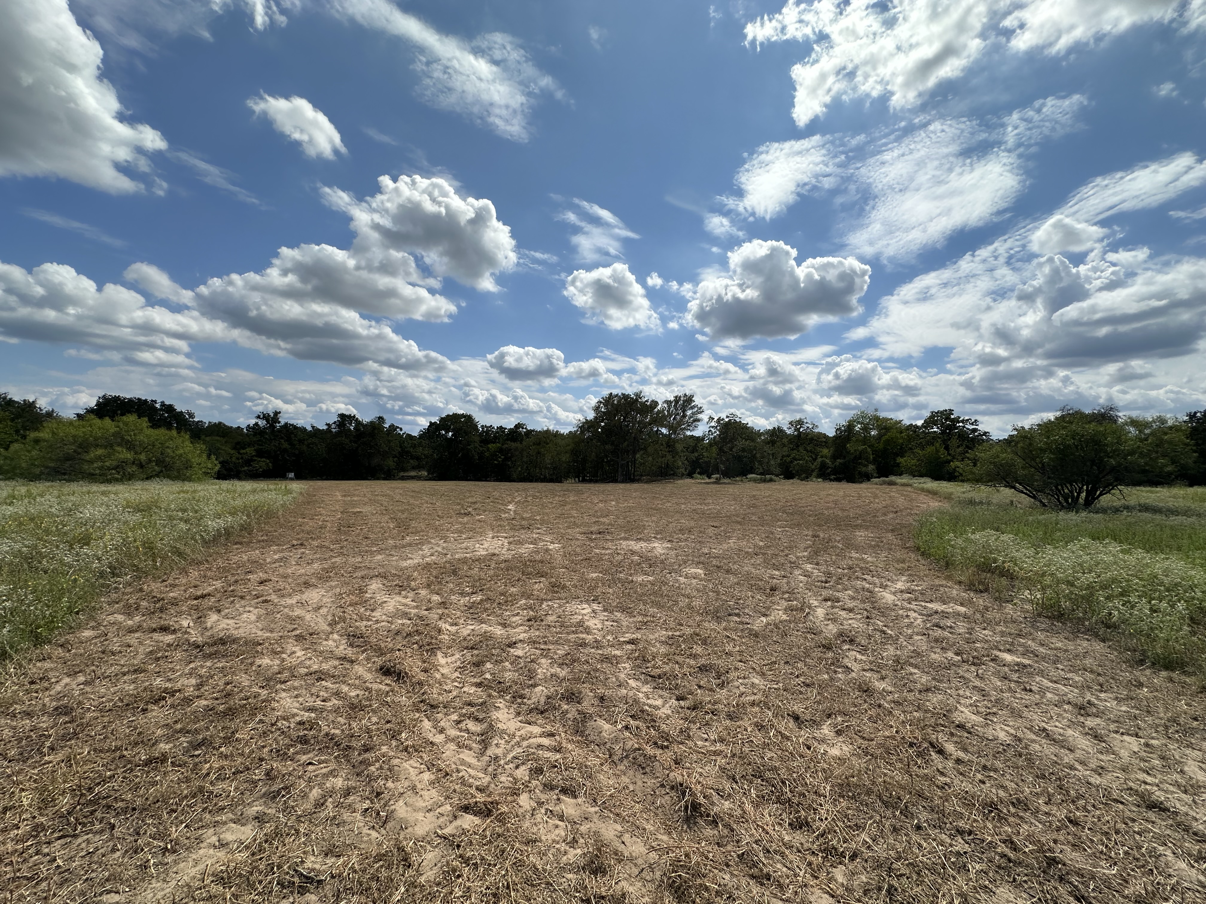 Luling, Texas, ,Land,For Sale,1043