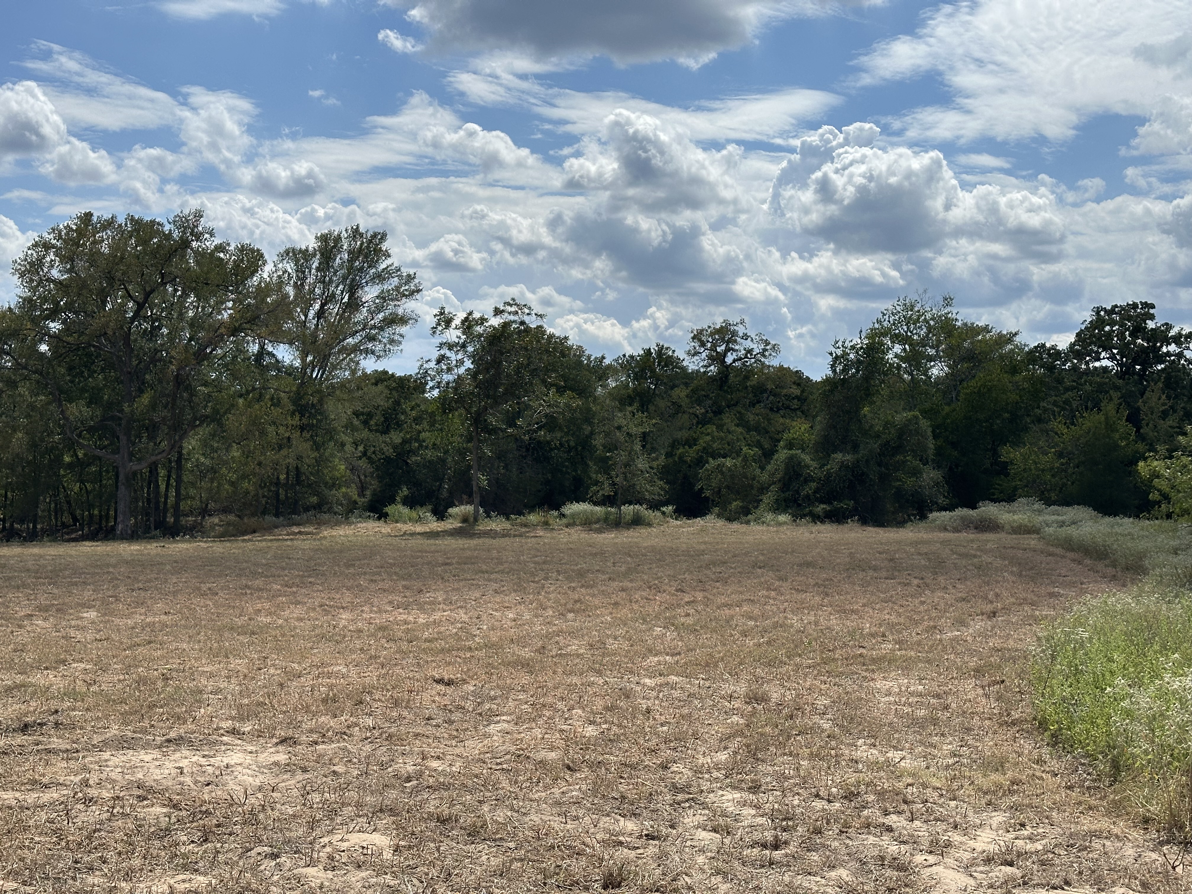 Luling, Texas, ,Land,For Sale,1043