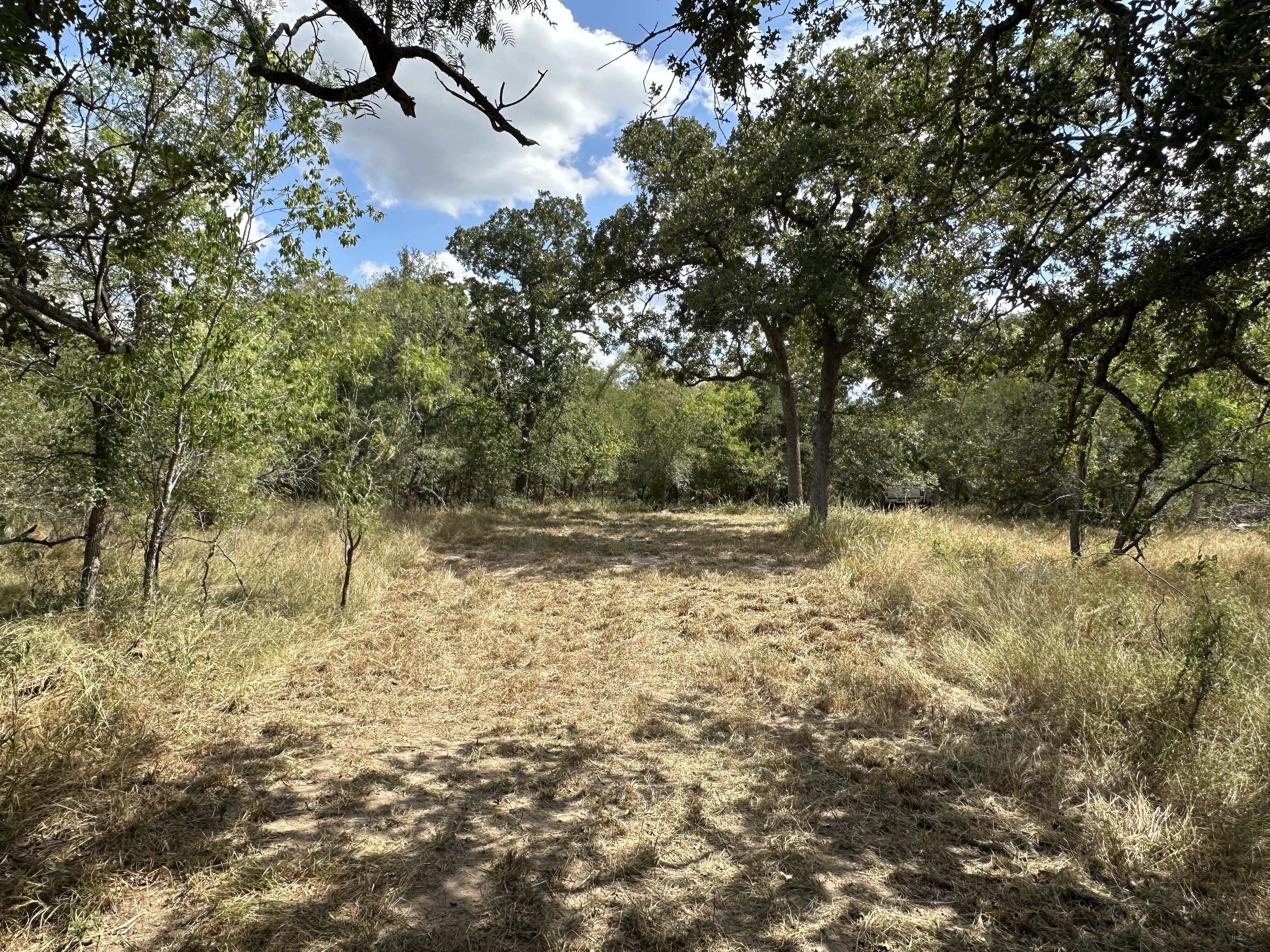 Luling, Texas, ,Land,For Sale,1043