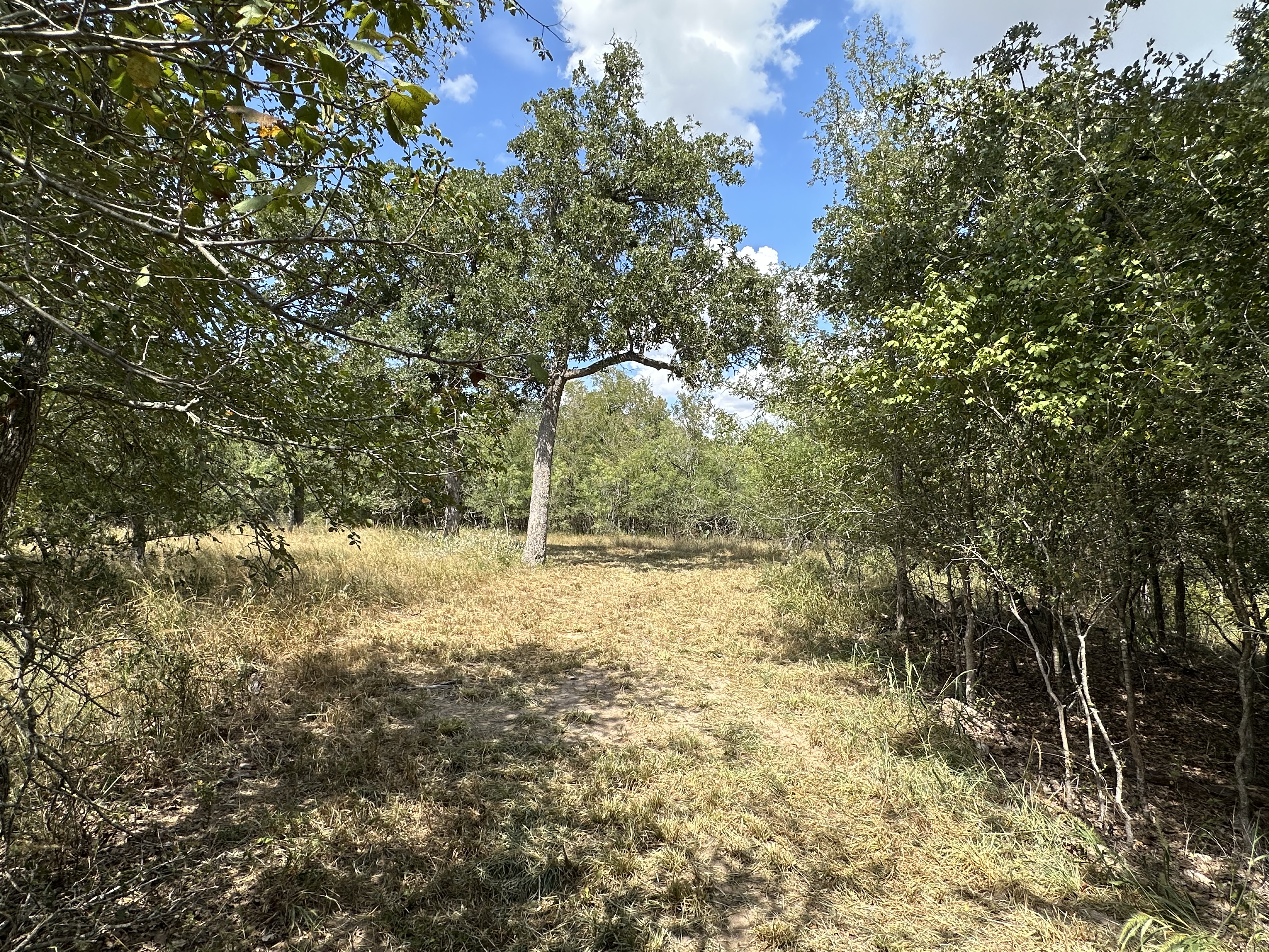 Luling, Texas, ,Land,For Sale,1043