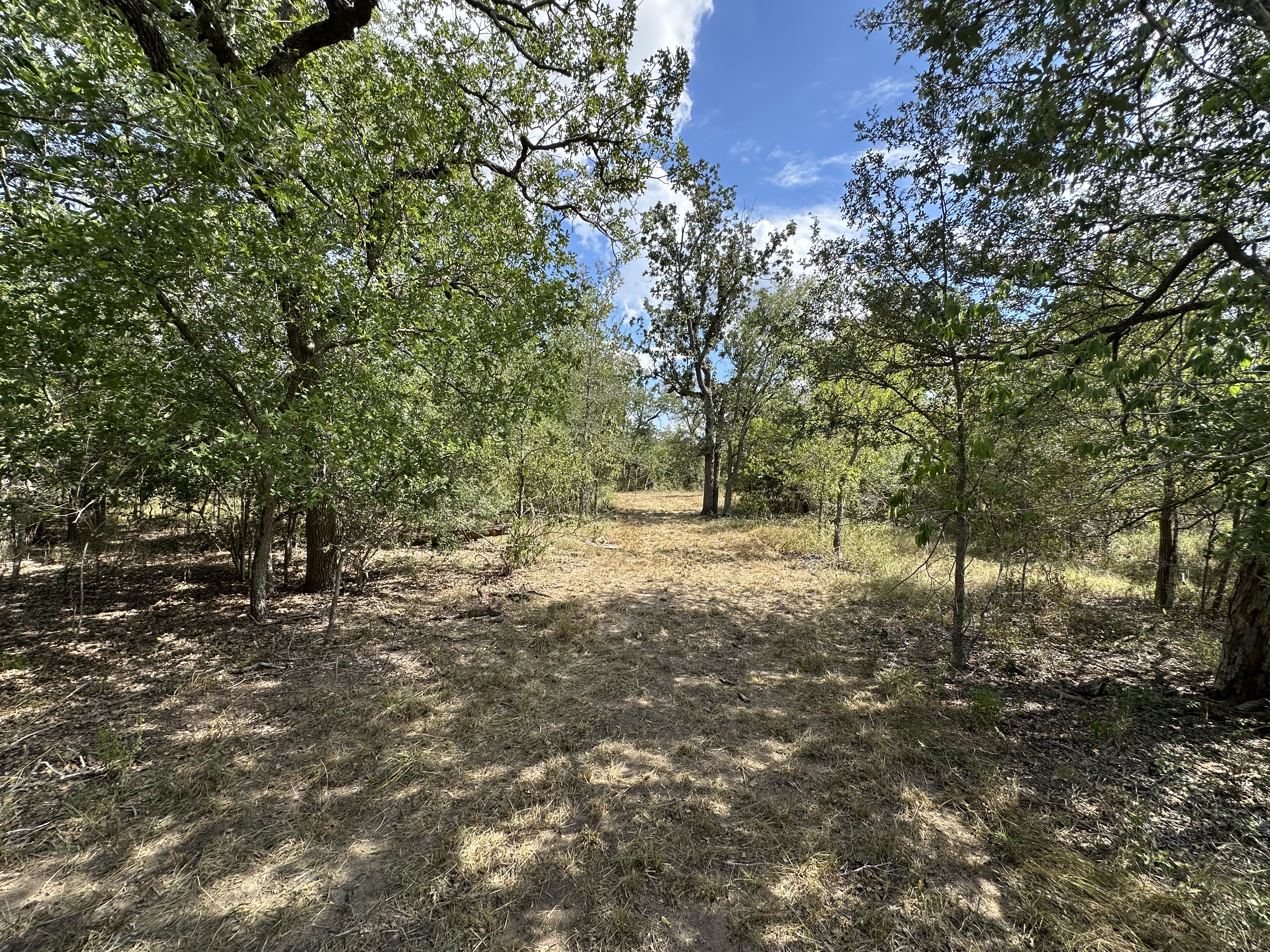 Luling, Texas, ,Land,For Sale,1043