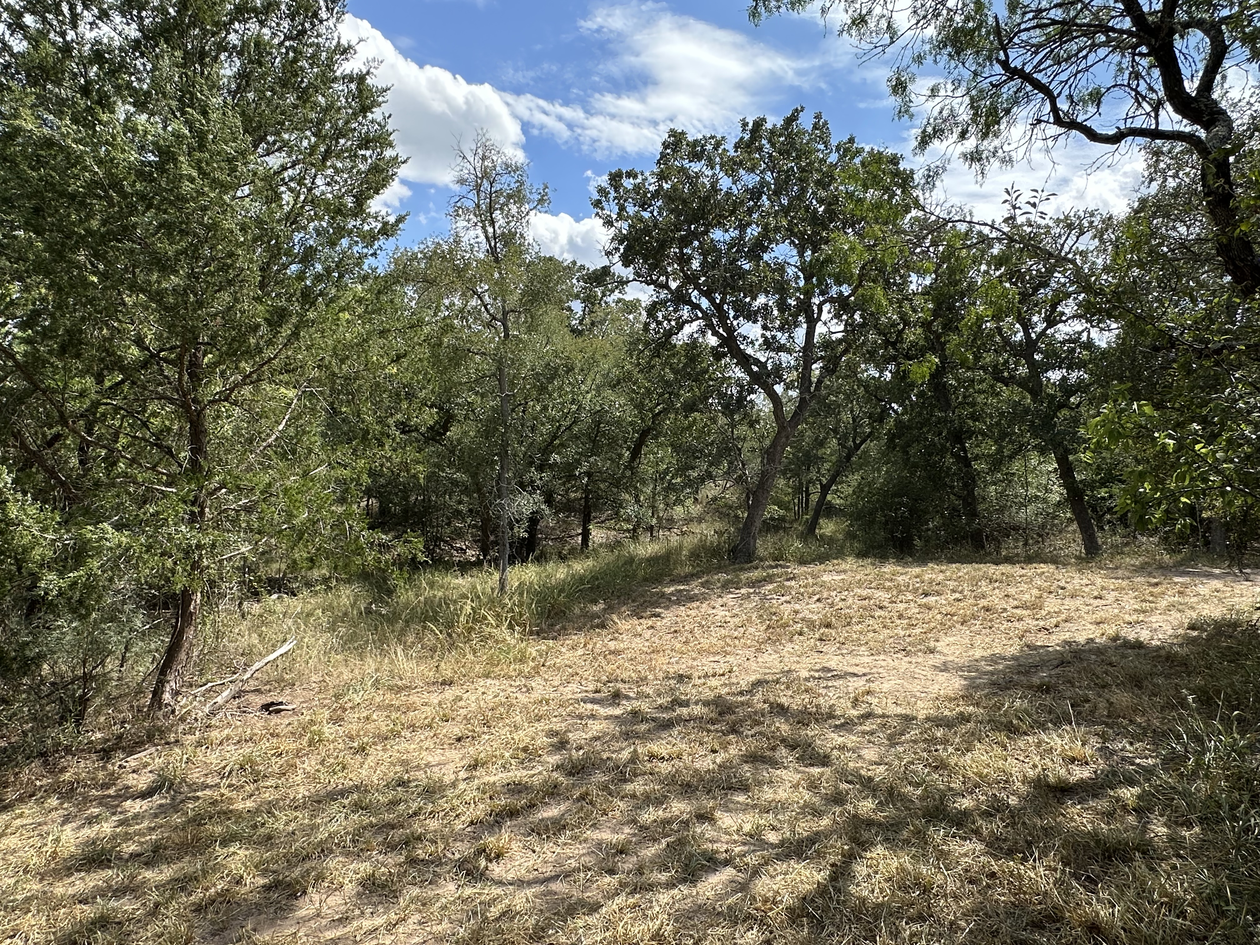 Luling, Texas, ,Land,For Sale,1043