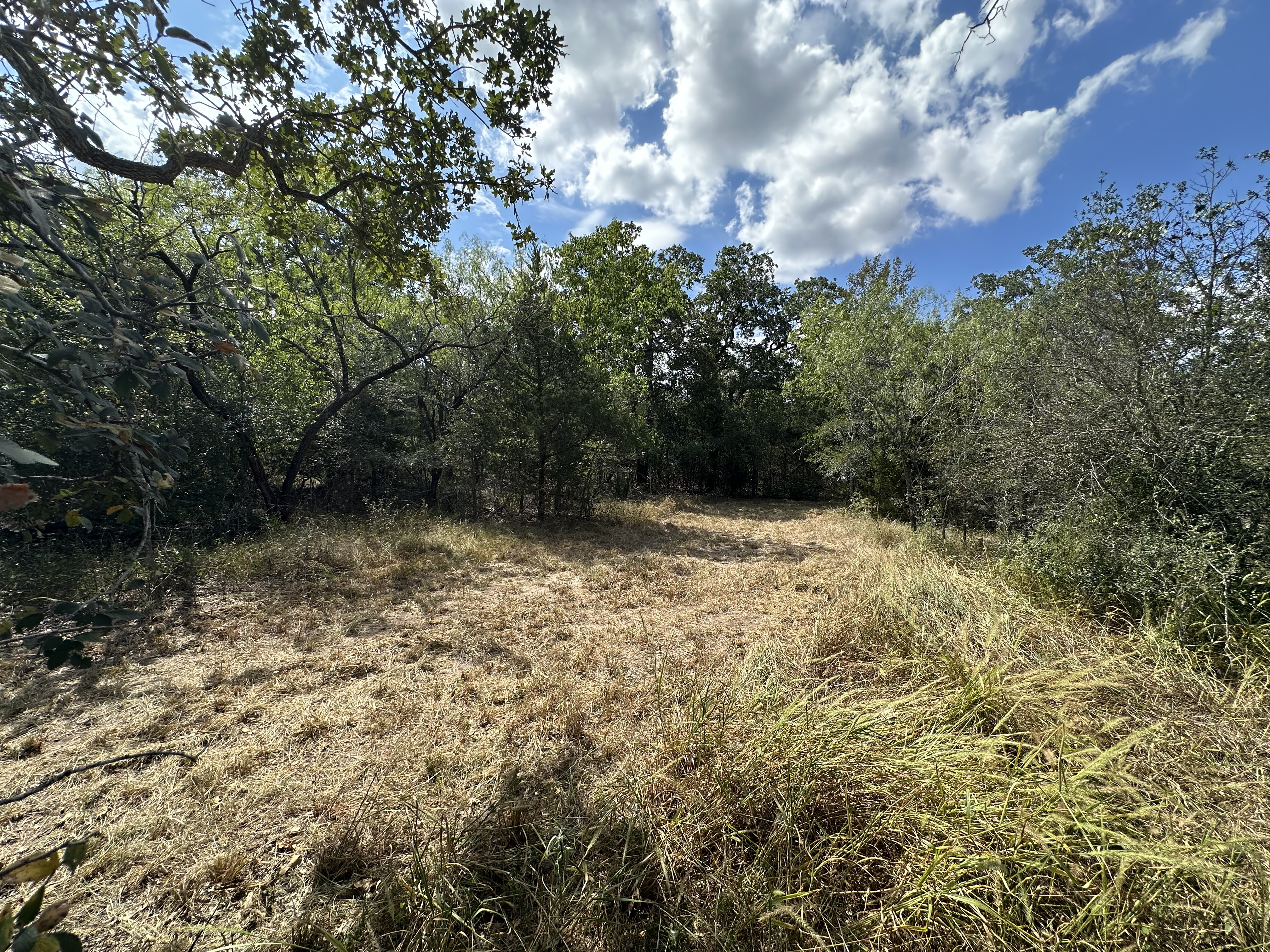 Luling, Texas, ,Land,For Sale,1043