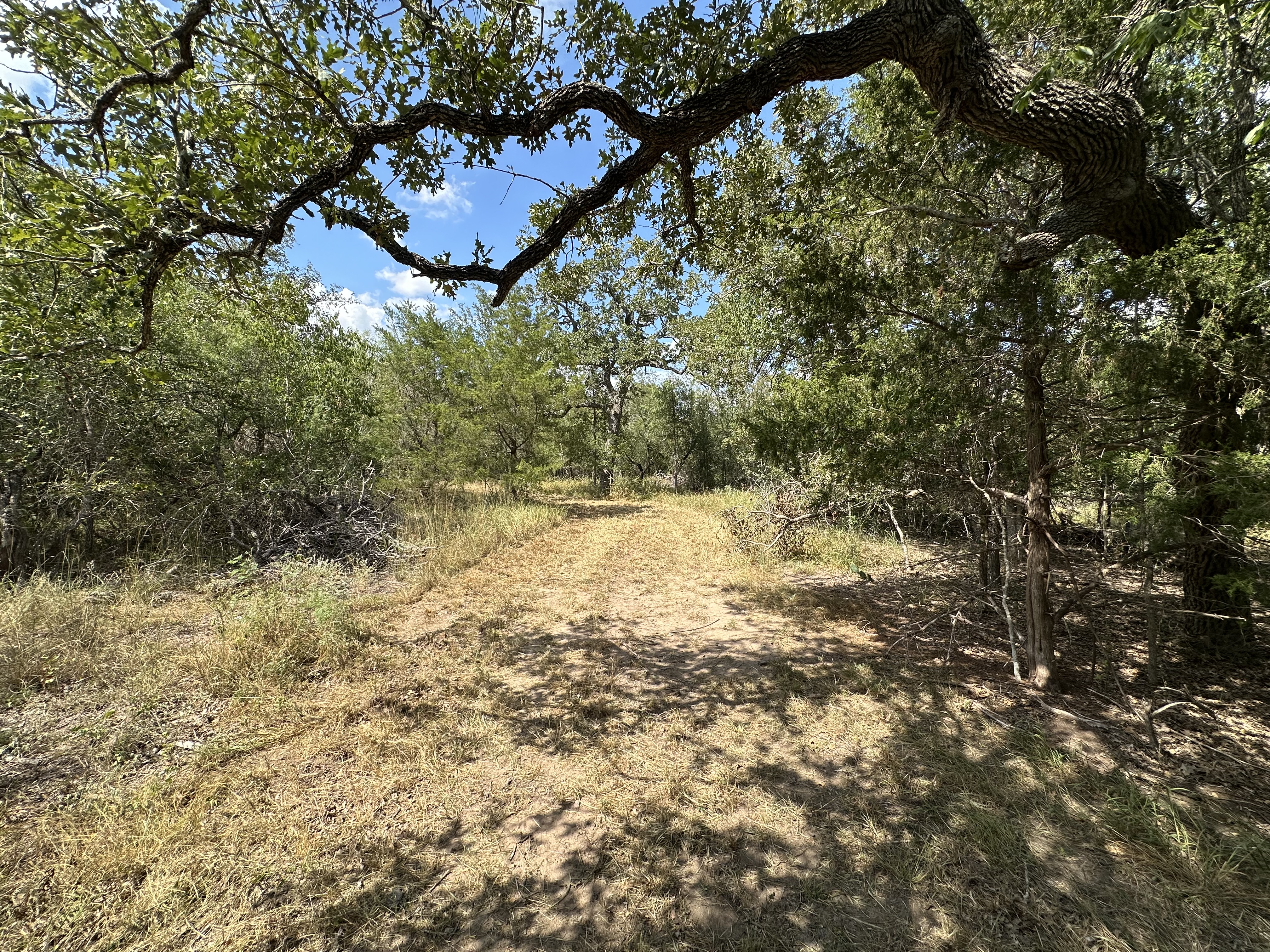 Luling, Texas, ,Land,For Sale,1043