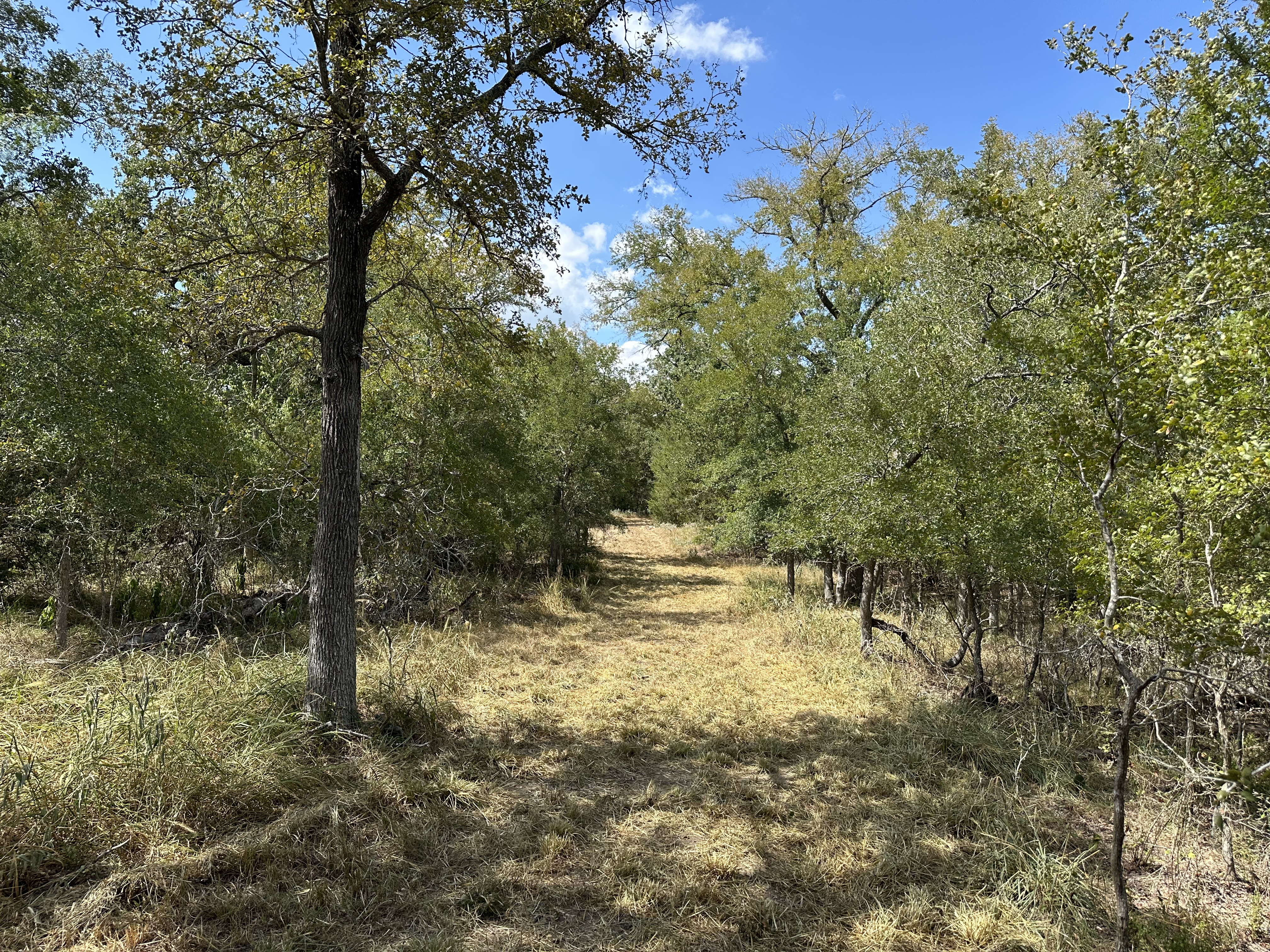 Luling, Texas, ,Land,For Sale,1043