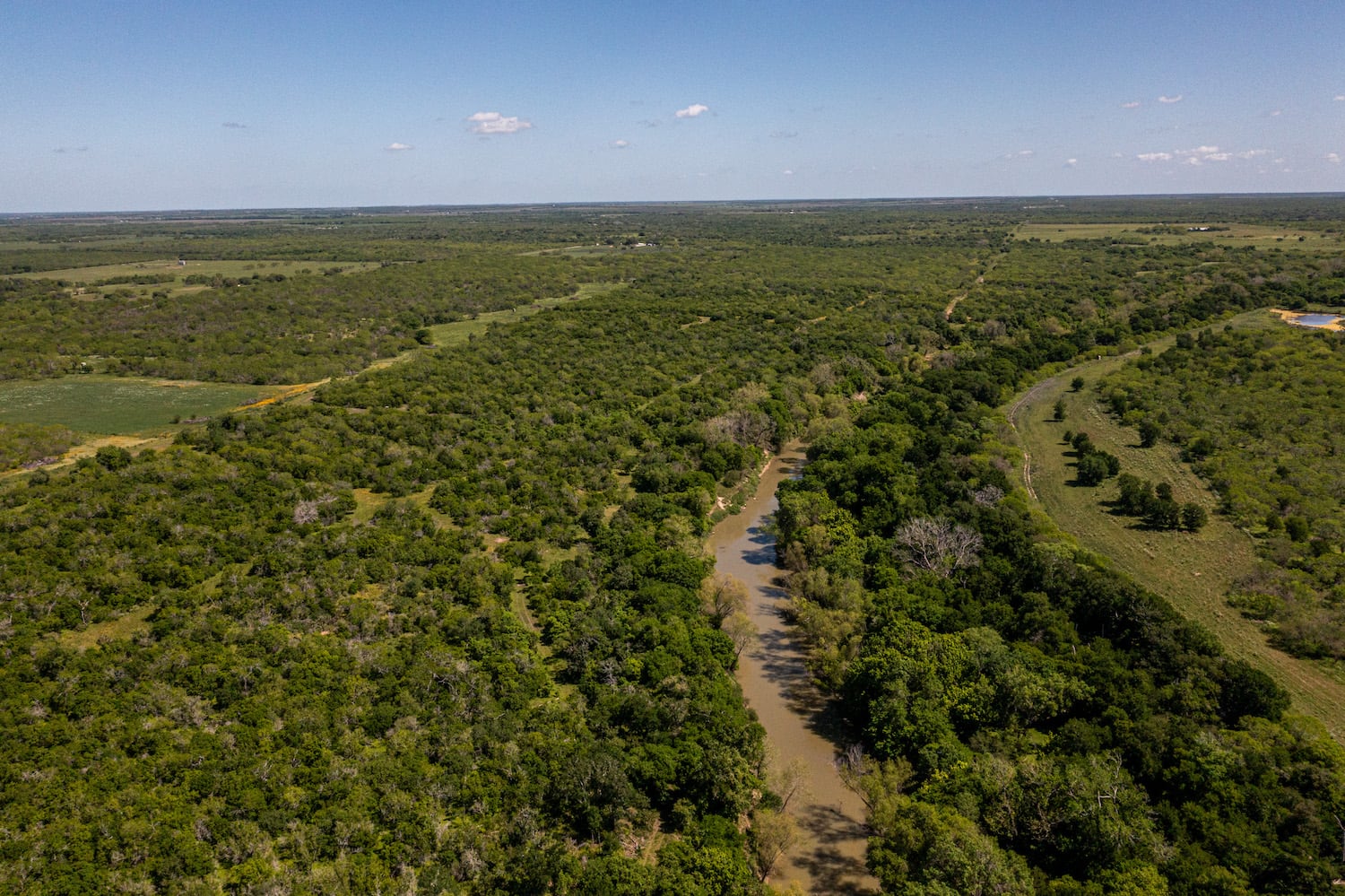 Runge, Texas, ,Land,For Sale,1046