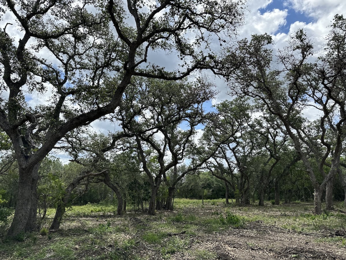 Goliad, Texas, ,Land,For Sale,1047