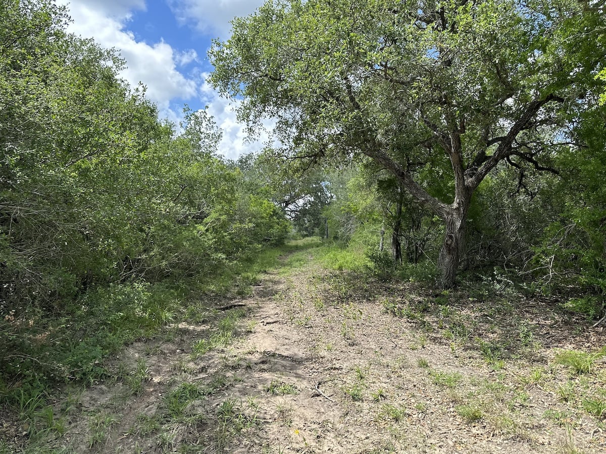 Goliad, Texas, ,Land,For Sale,1047