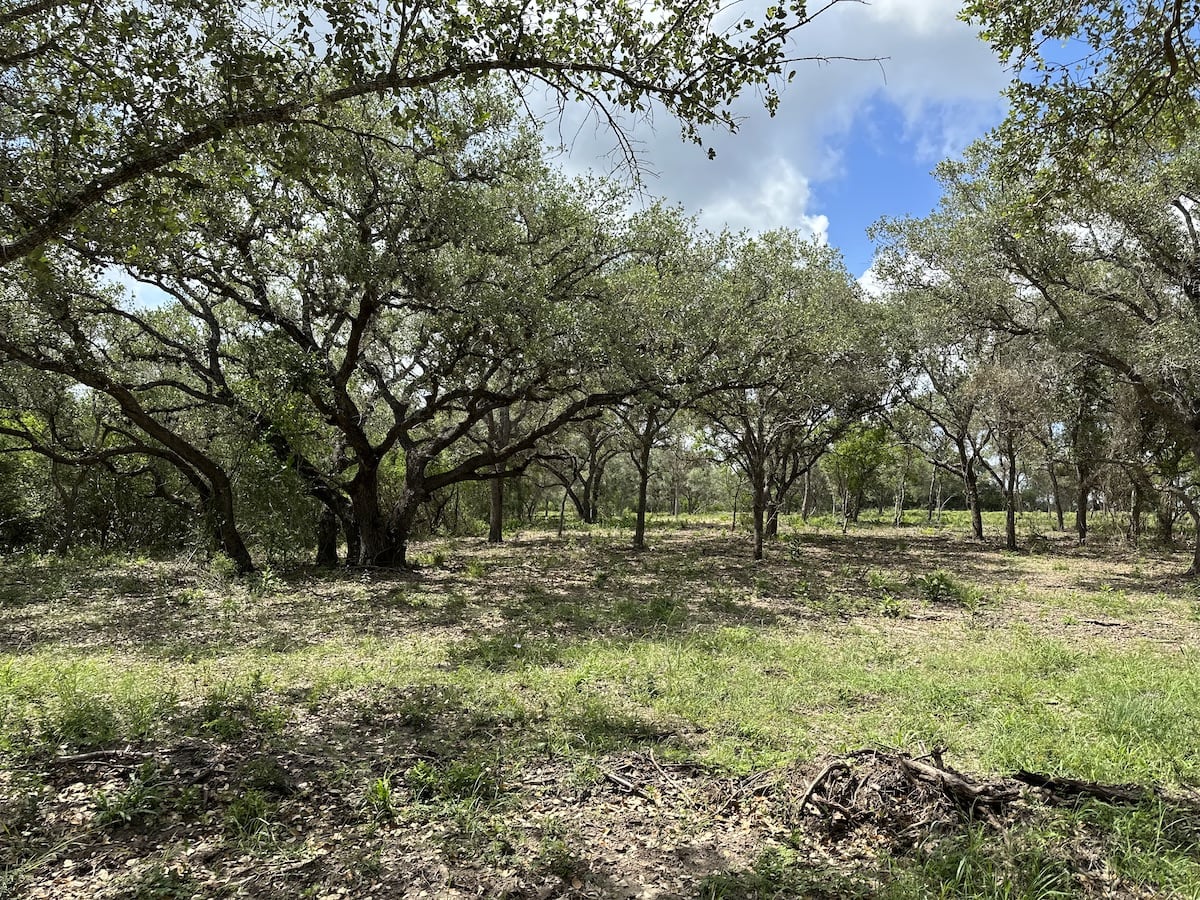 Goliad, Texas, ,Land,For Sale,1047