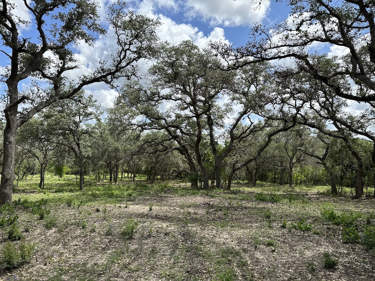 Goliad, Texas, ,Land,For Sale,1047