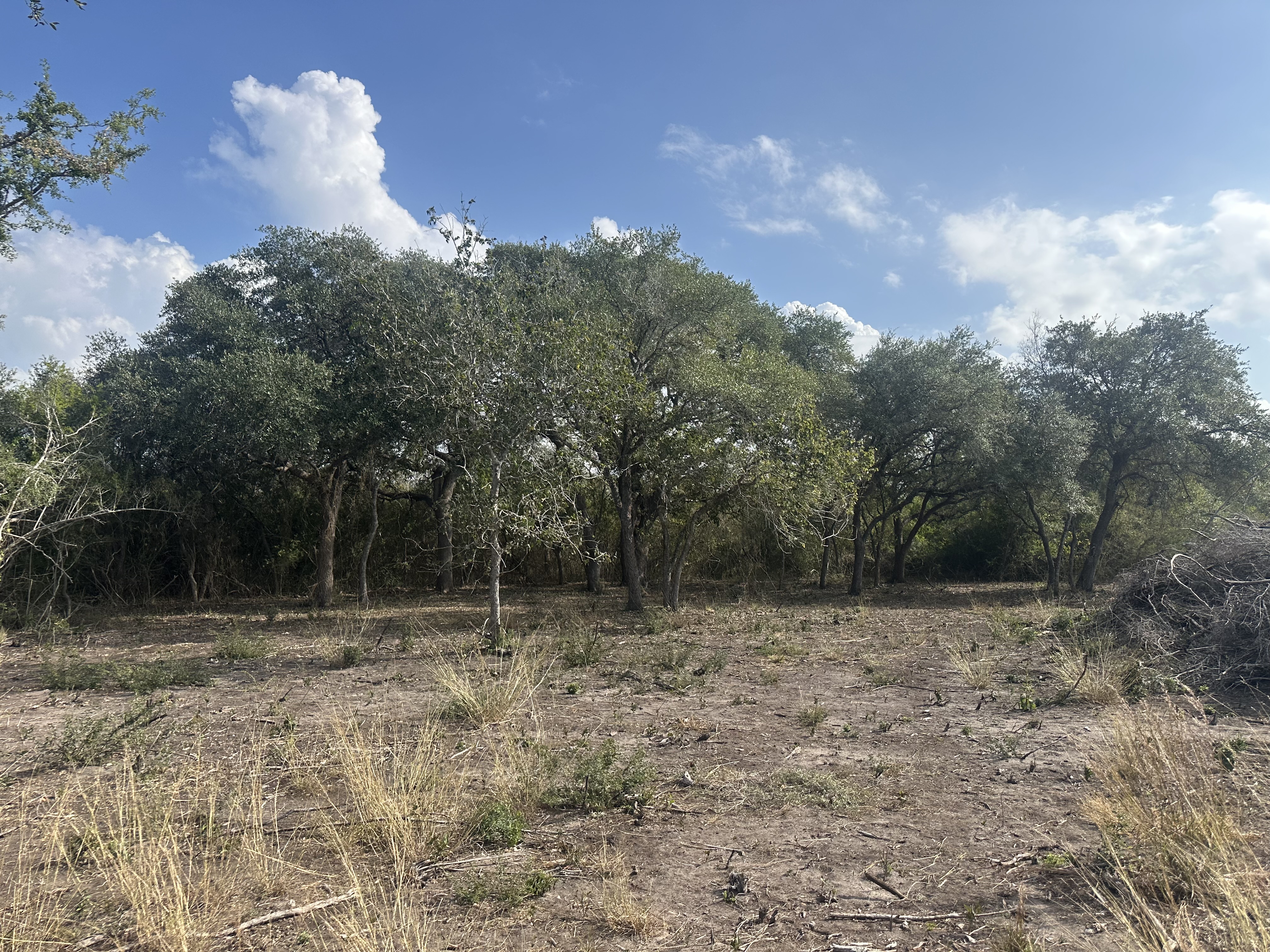 Goliad, Texas, ,Land,For Sale,1048