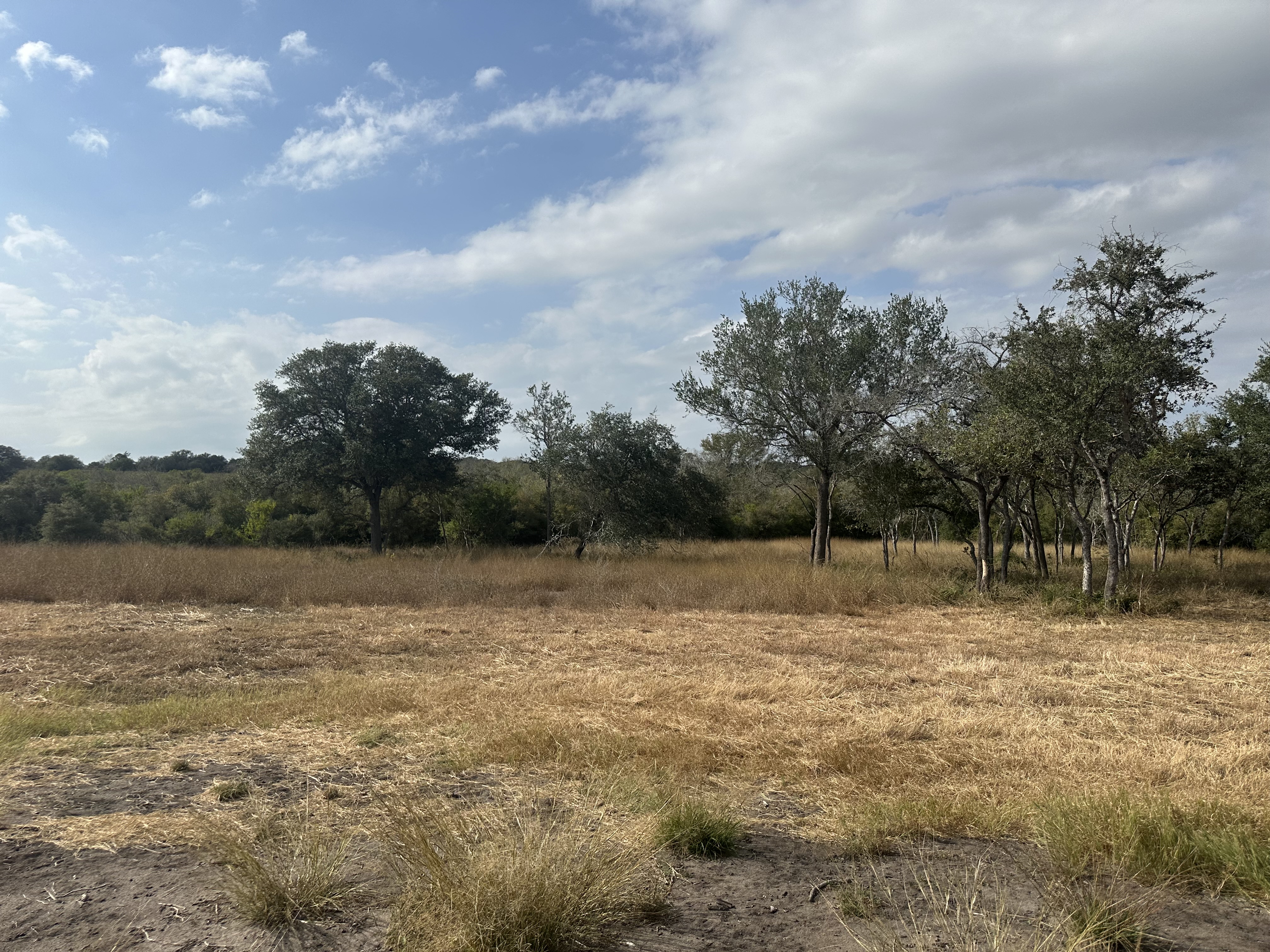 Goliad, Texas, ,Land,For Sale,1048