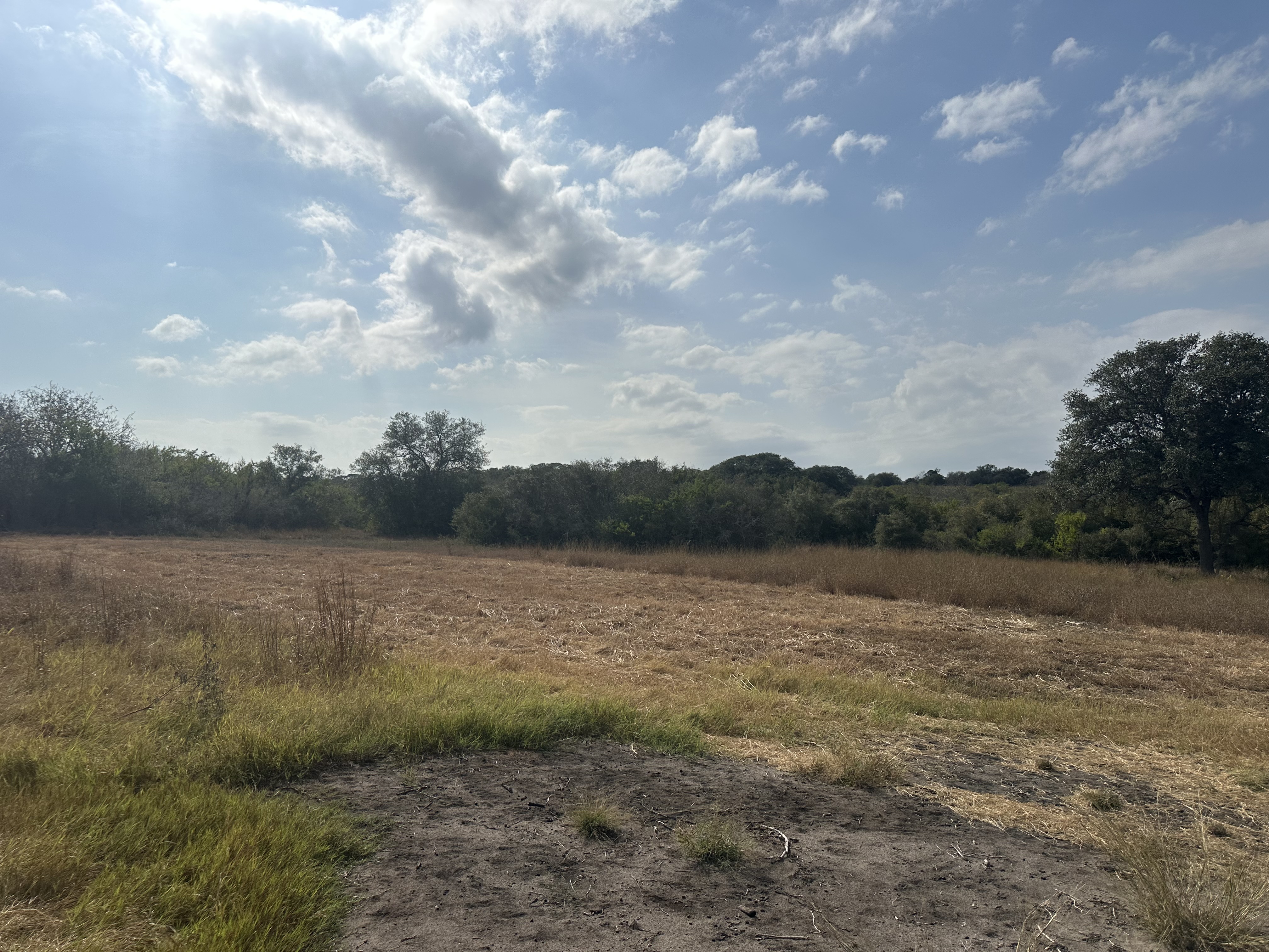 Goliad, Texas, ,Land,For Sale,1048