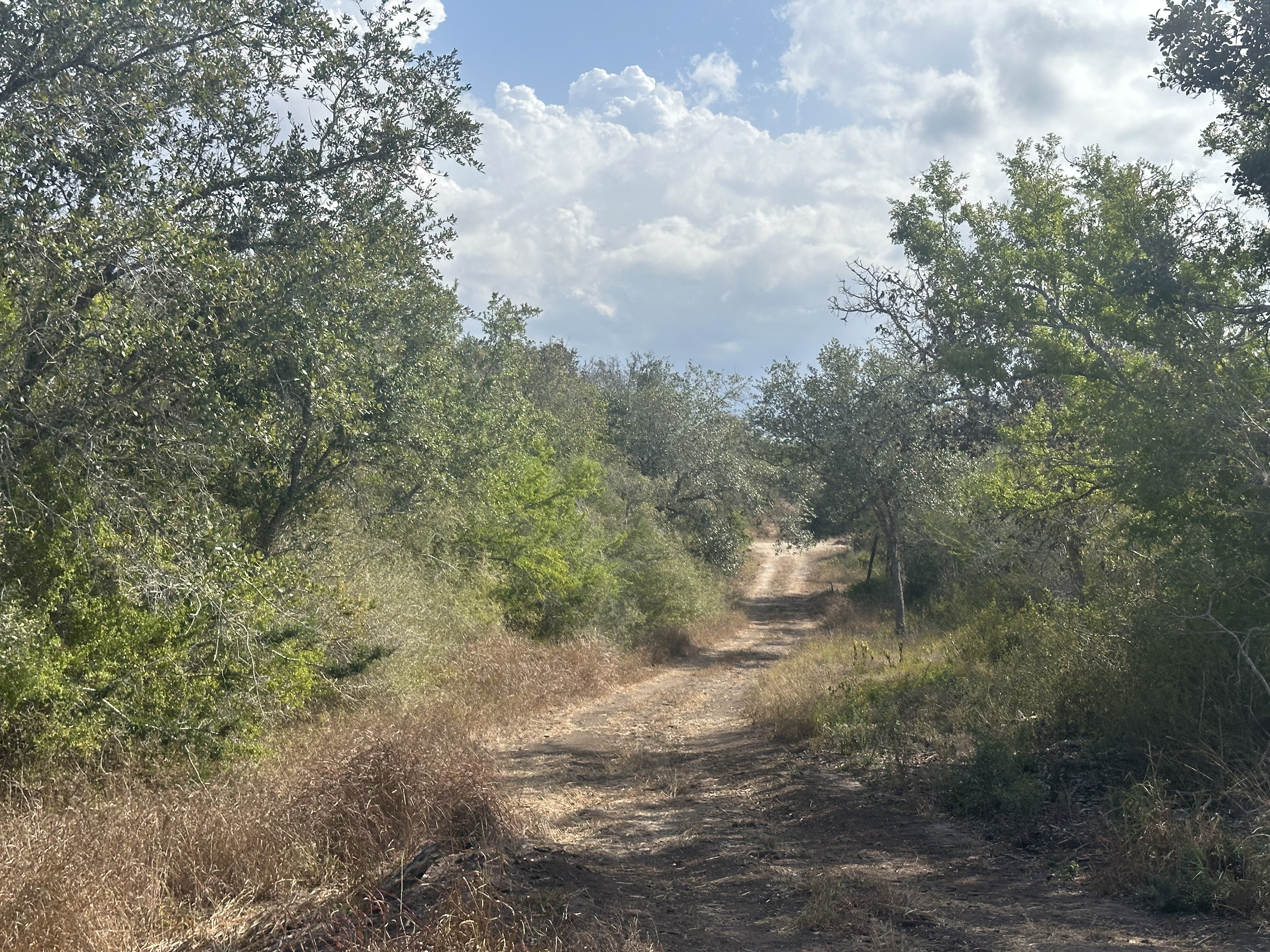 Goliad, Texas, ,Land,For Sale,1048