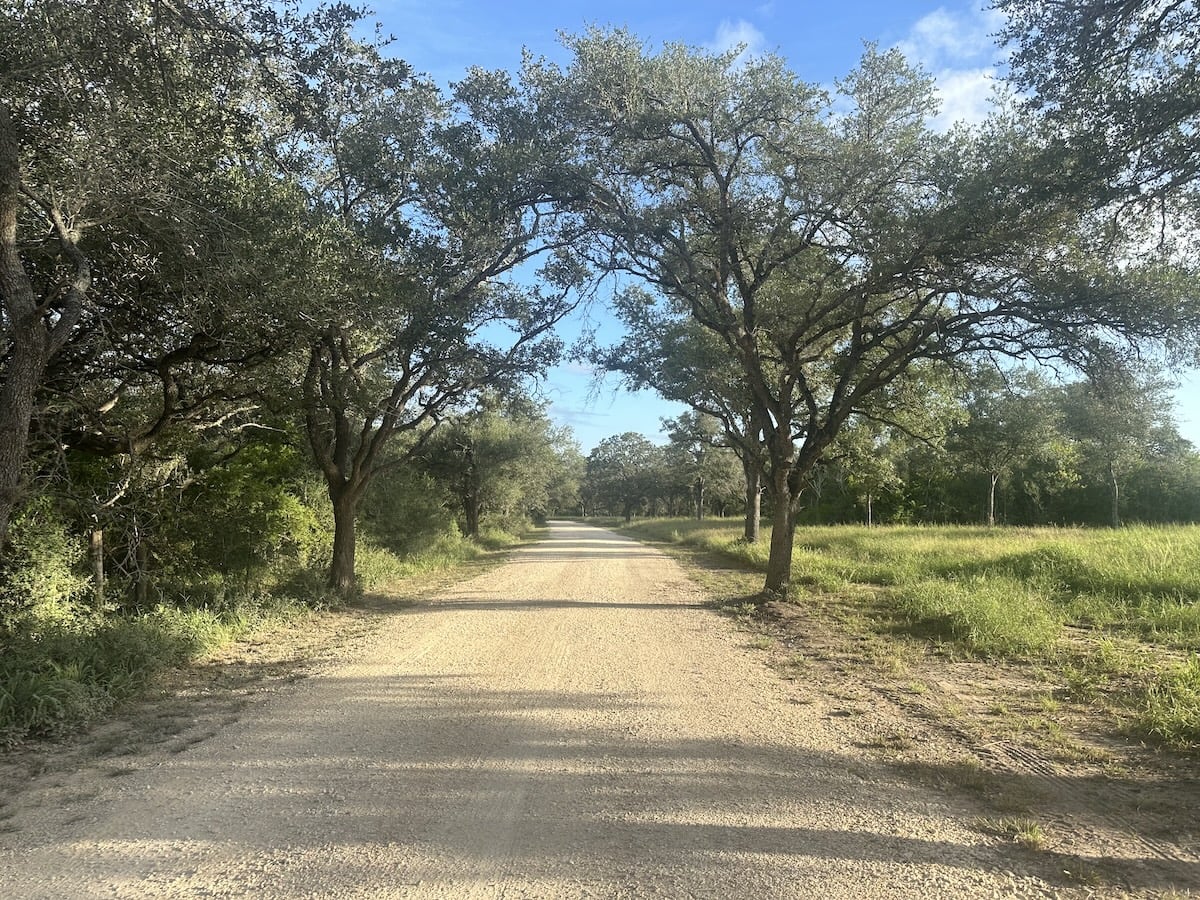 Goliad, Texas, ,Land,For Sale,1048