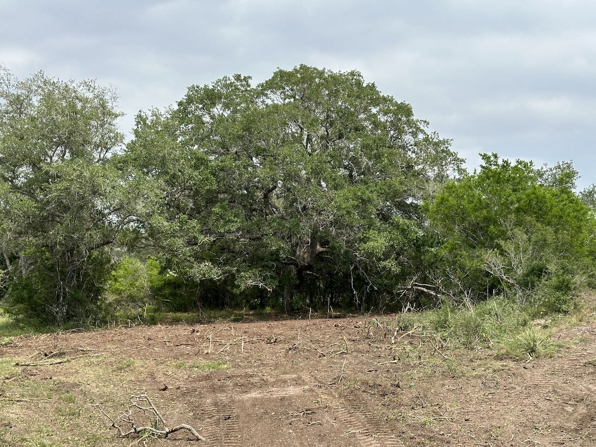 Goliad, Texas, ,Land,For Sale,1049