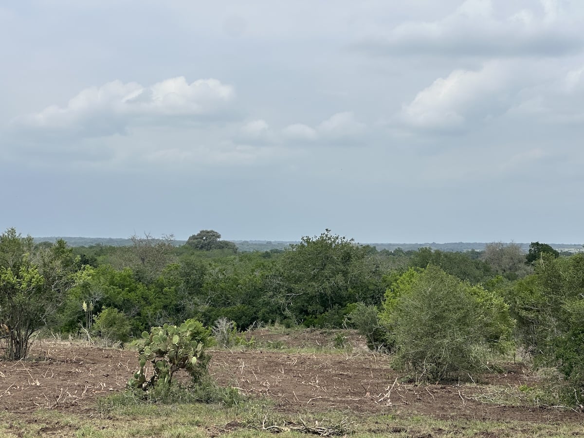 Goliad, Texas, ,Land,For Sale,1049