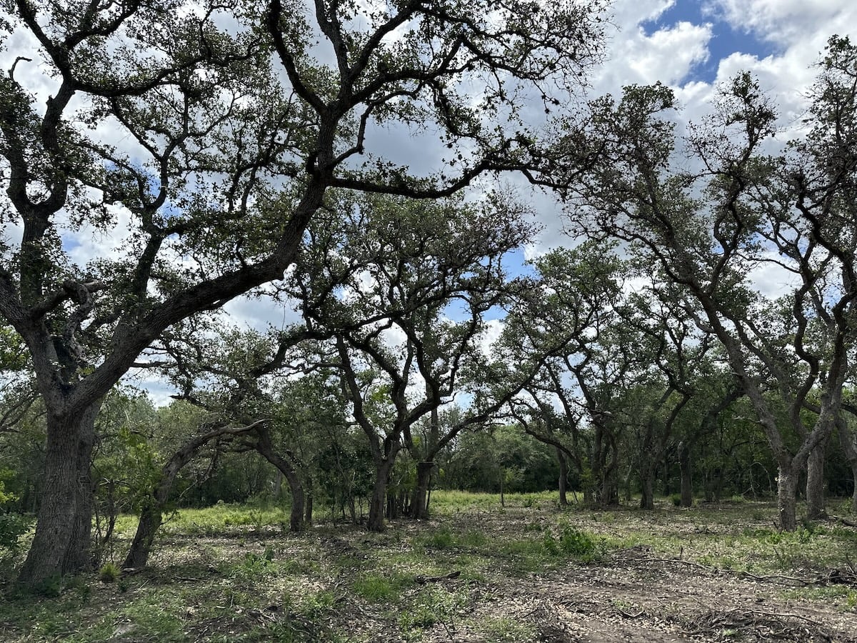 Goliad, Texas, ,Land,For Sale,1049