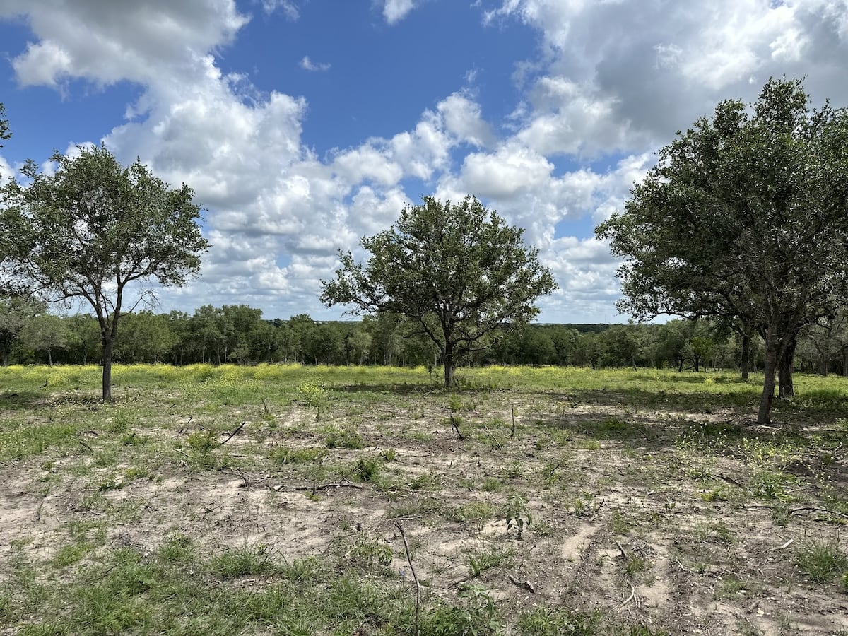 Goliad, Texas, ,Land,For Sale,1049