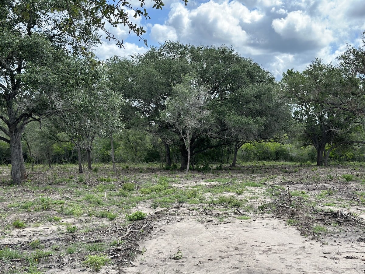 Goliad, Texas, ,Land,For Sale,1049