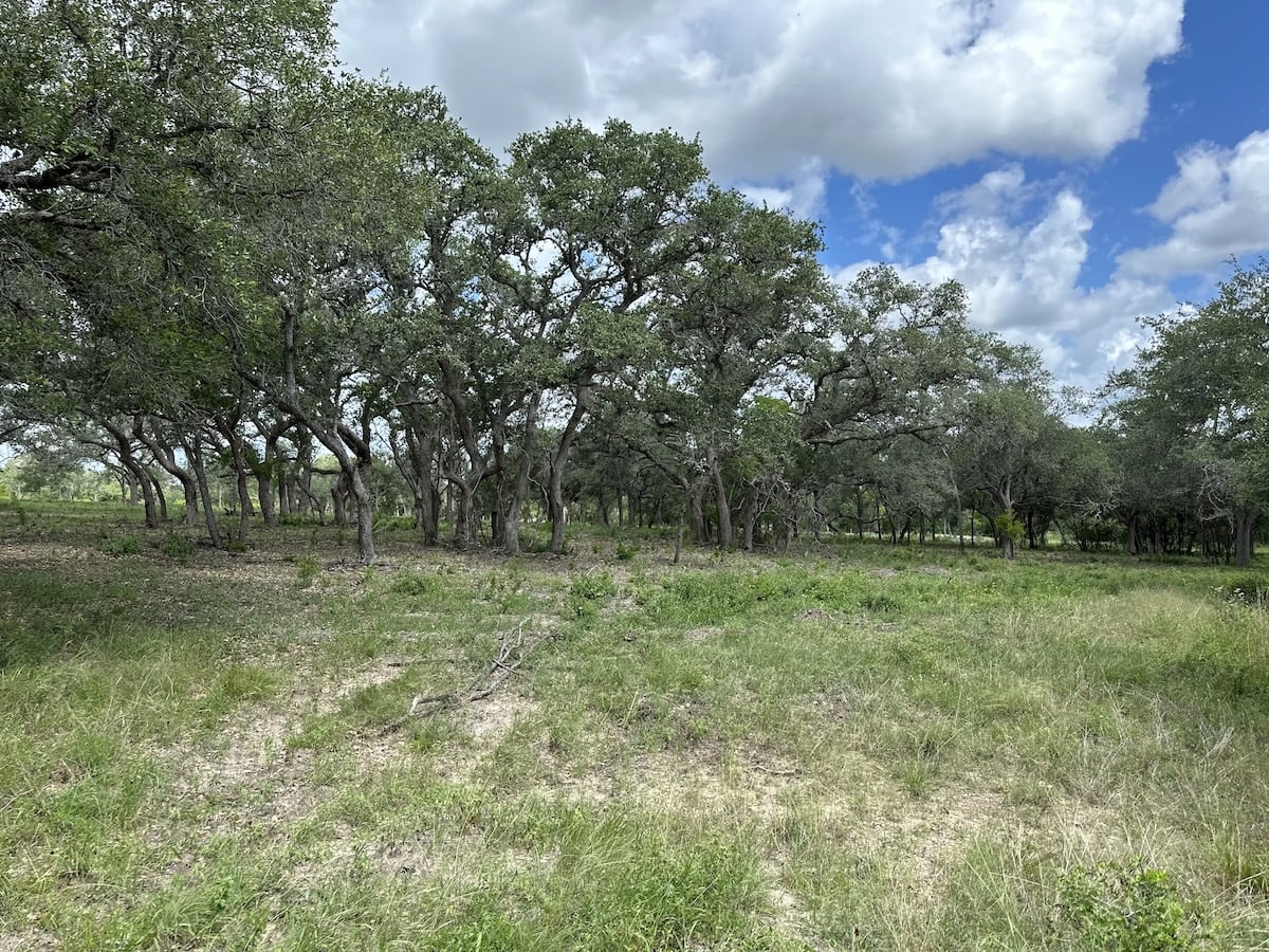 Goliad, Texas, ,Land,For Sale,1049