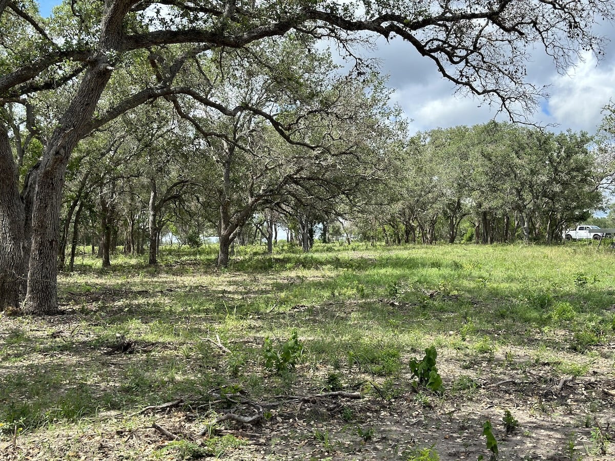 Goliad, Texas, ,Land,For Sale,1049