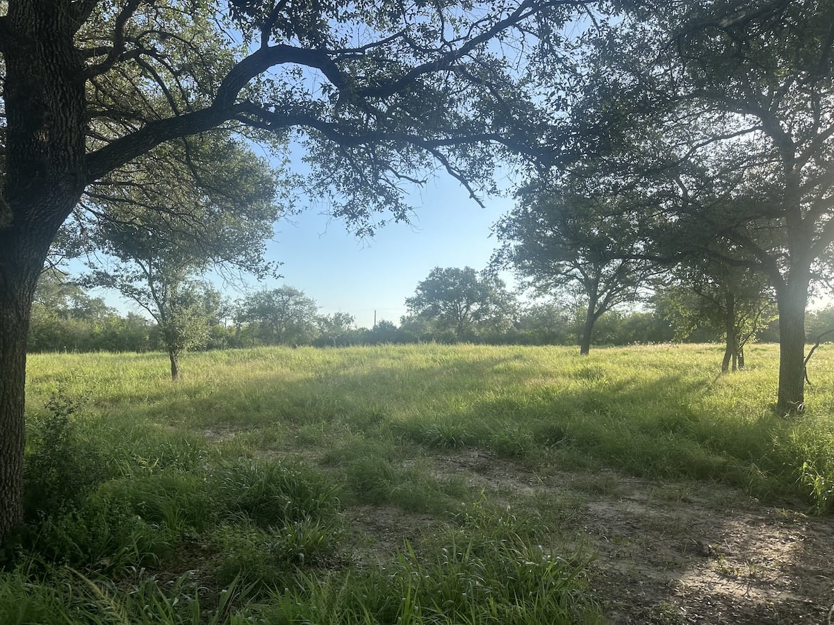 Goliad, Texas, ,Land,For Sale,1049