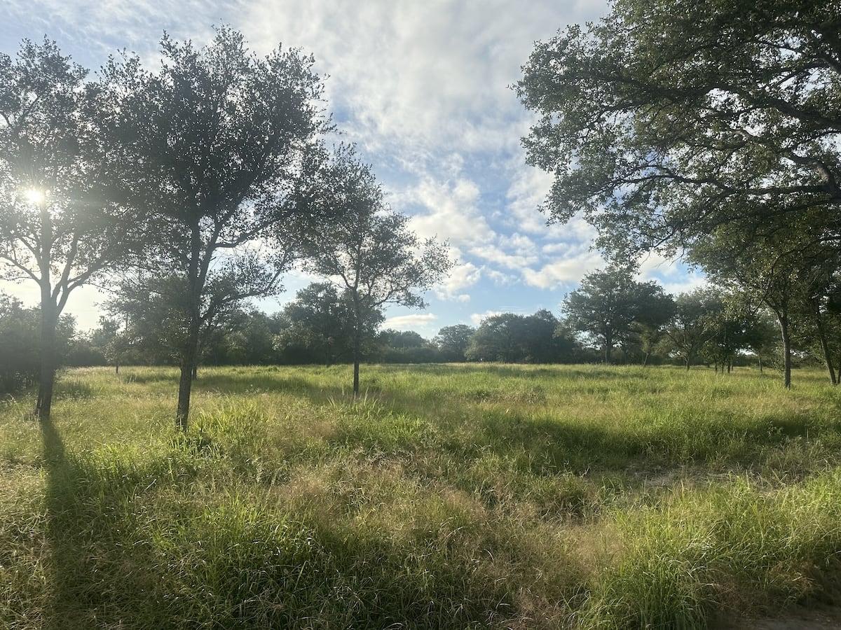 Goliad, Texas, ,Land,For Sale,1049