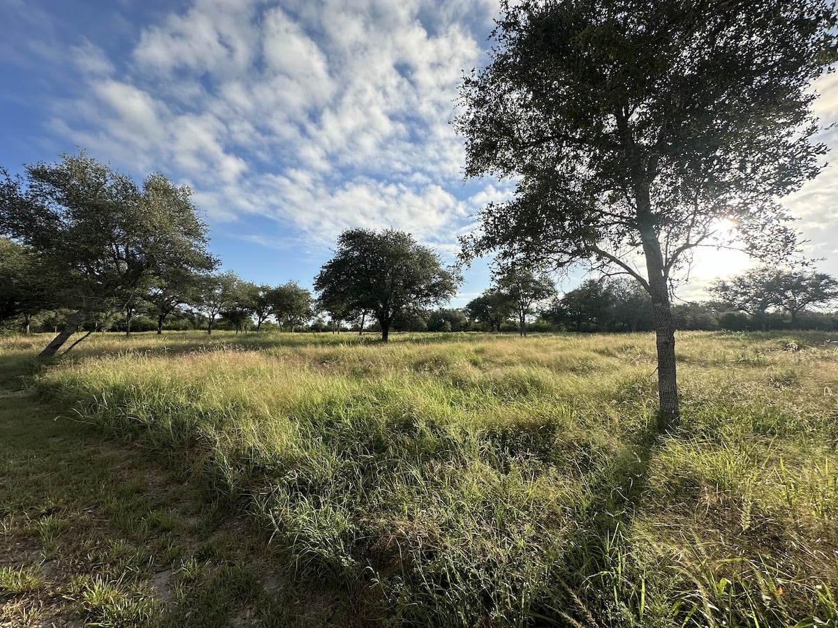 Goliad, Texas, ,Land,For Sale,1049